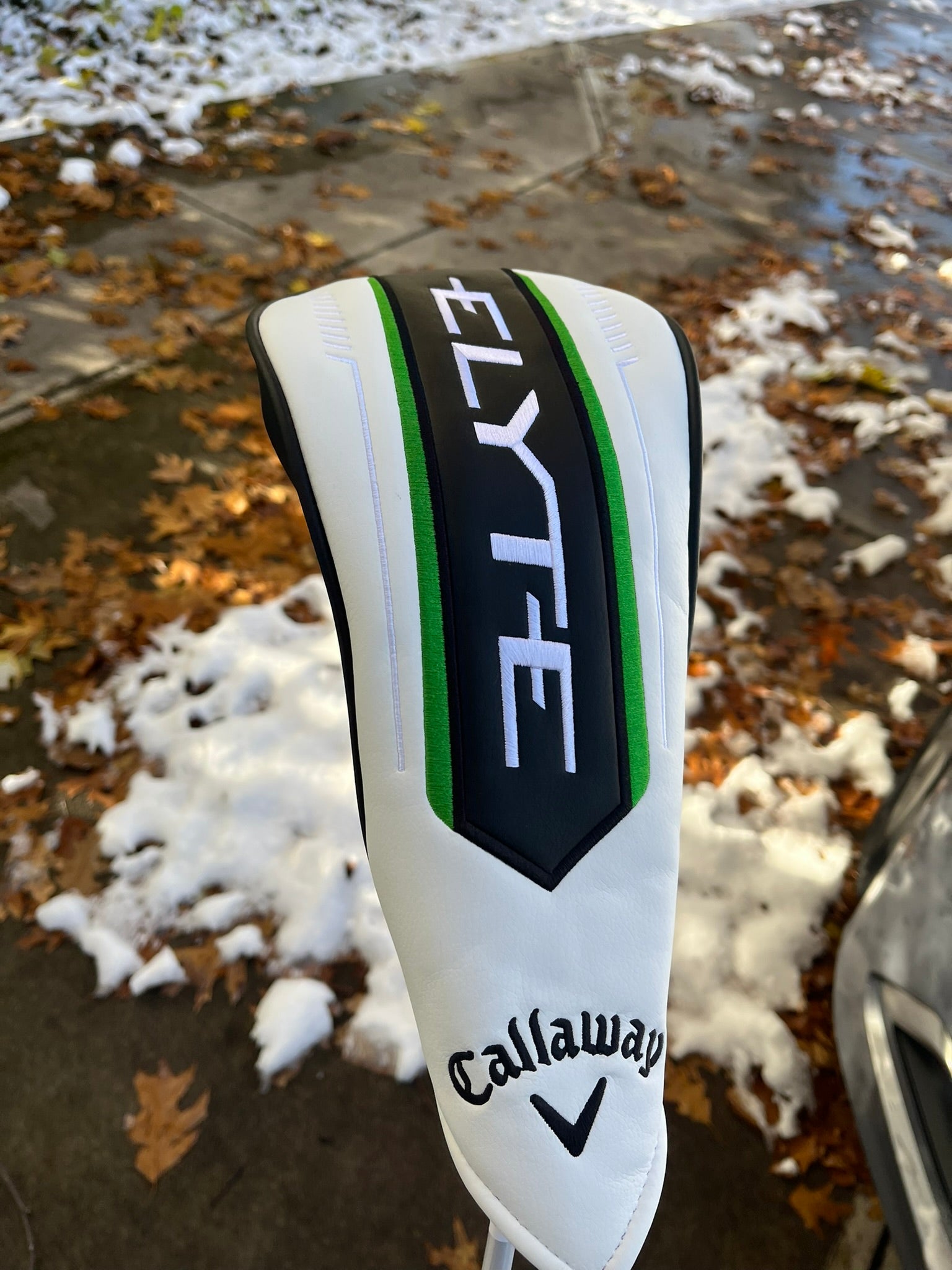 Photo of Callaway Elyte Max Fast Driver 12° Ladies Flex Eldio 40