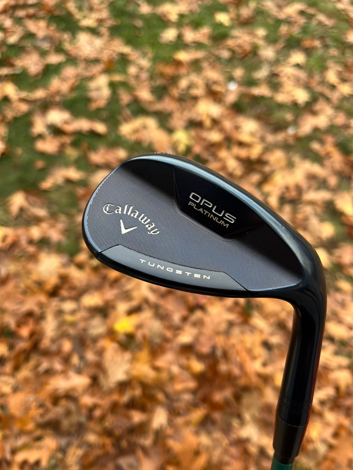 Photo of Callaway Opus Platinum Blue Sand Wedge 56° Wedge Flex Dg Tour Issue Mid