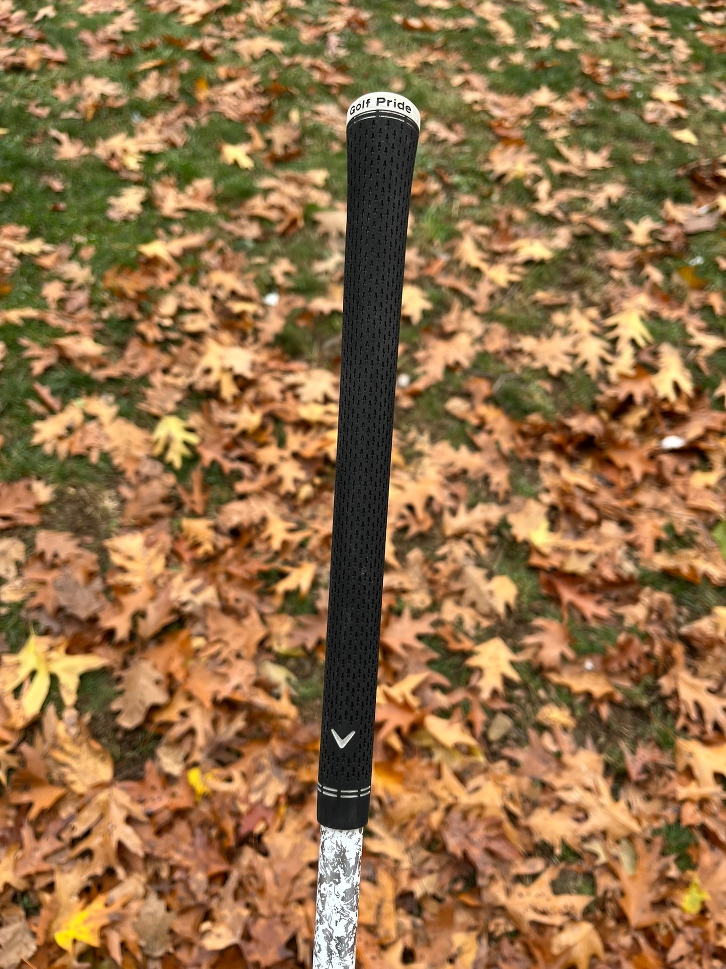 Photo of Callaway Elyte Driver 10.5° Regular Flex Denali 50G