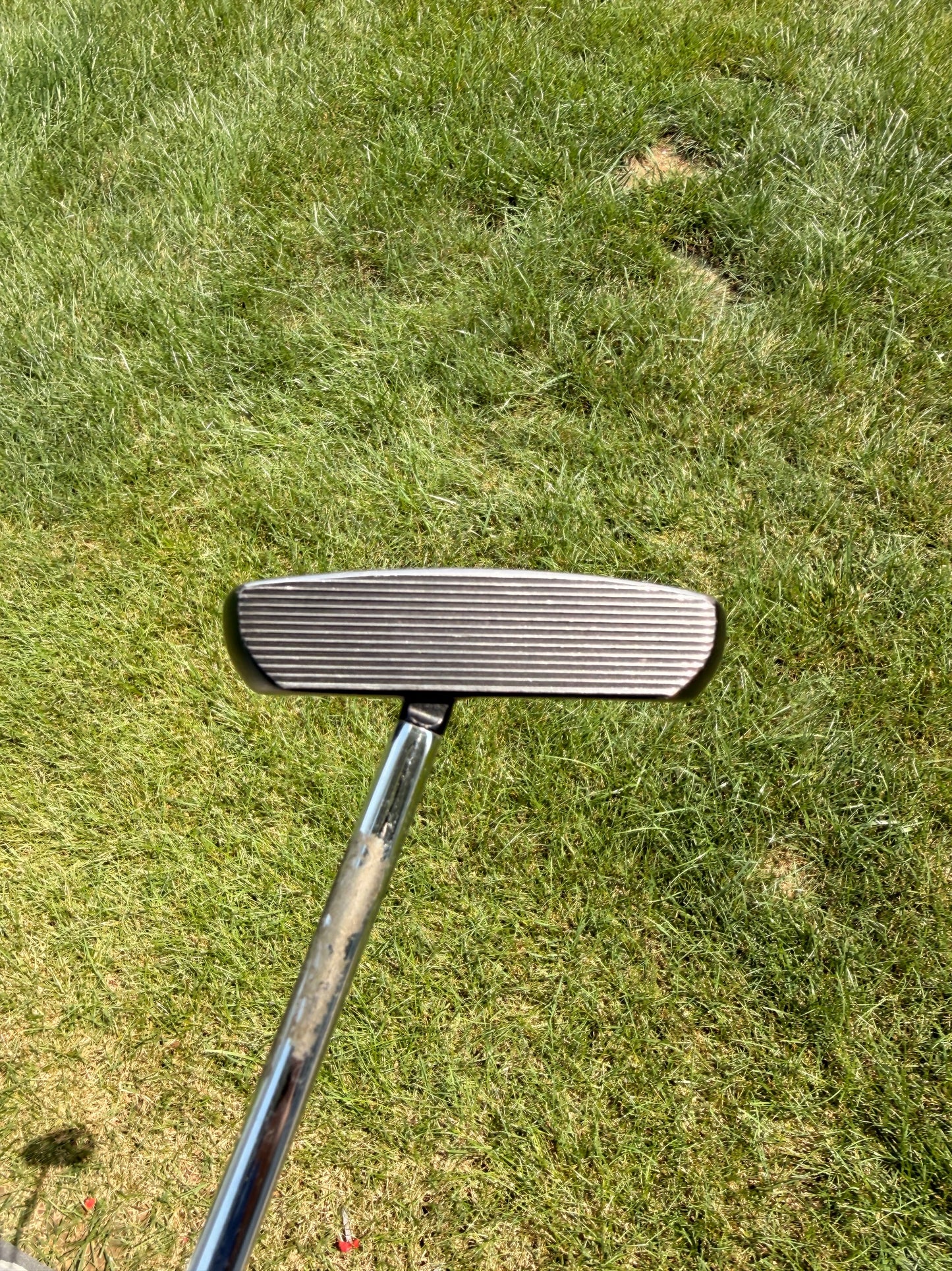 Rife Barbados Island Series Putter Stock 34.5" NICE — photo 2