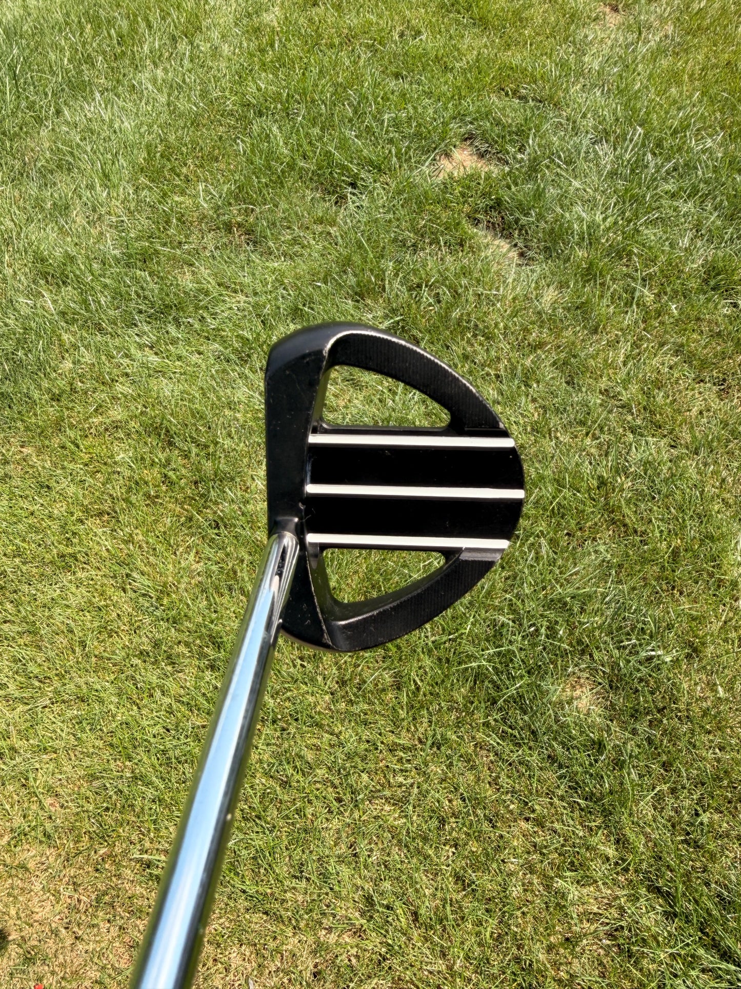 Rife Barbados Island Series Putter Stock 34.5" NICE — photo 3