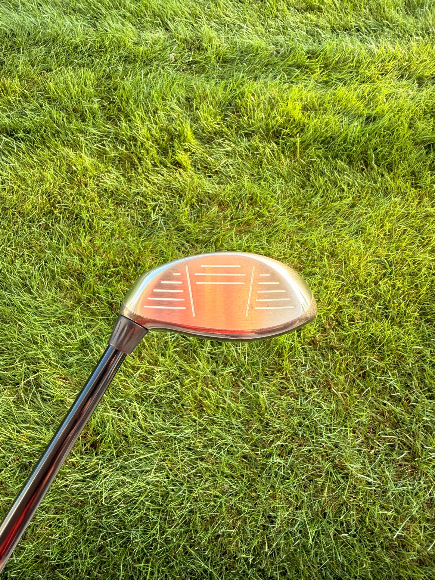 Callaway 2004 Big Bertha 7+ Wood RCH 75g Stiff Flex 41.5" +HC NICE — photo 2