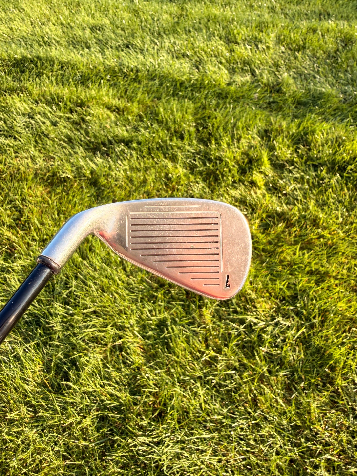 Callaway 2006 Big Bertha 7-Iron Light 75g Senior Flex 37" NICE — photo 2