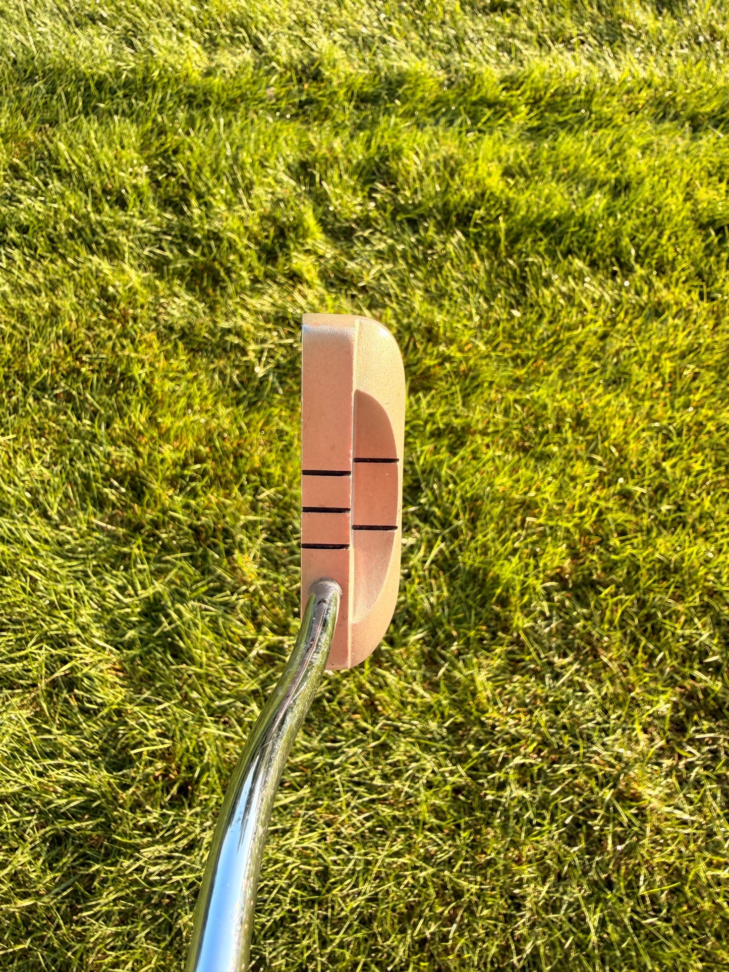 Odyssey Dual Force Rossie Blade Putter Stock 35" NICE — photo 3