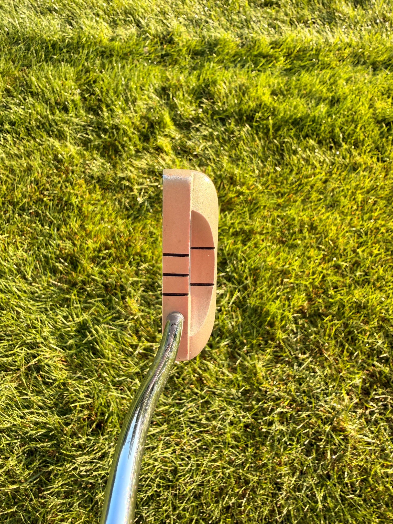 Odyssey Dual Force Rossie Blade Putter Stock 35" NICE — photo 3