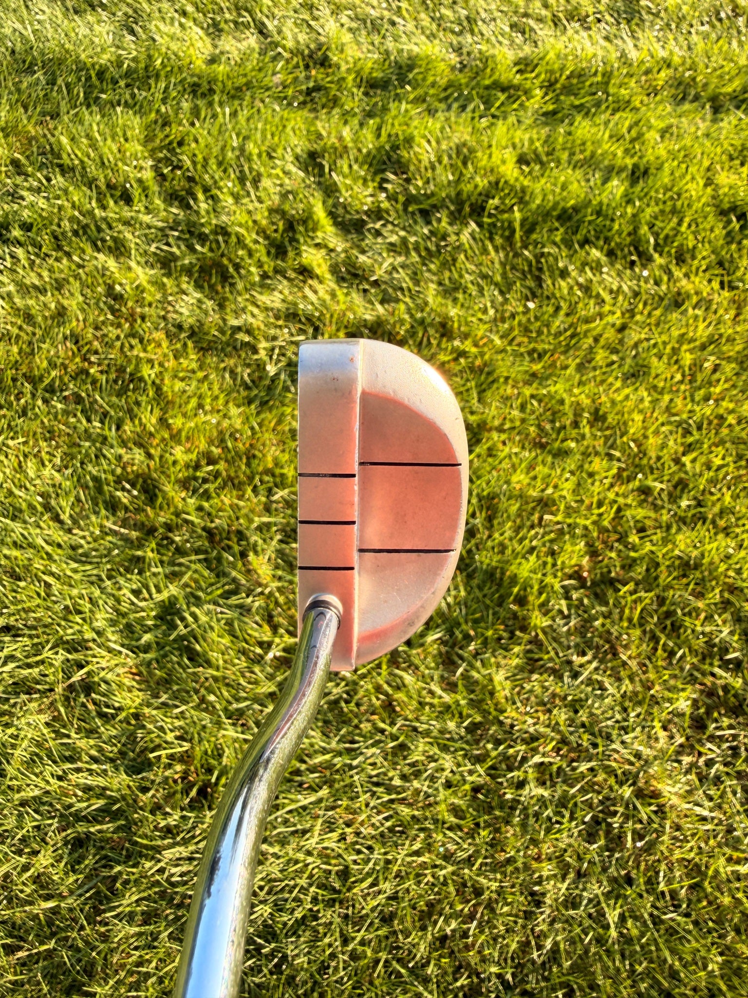 Odyssey White Hot XG Rossie Putter Stock 32.5" NICE — photo 3