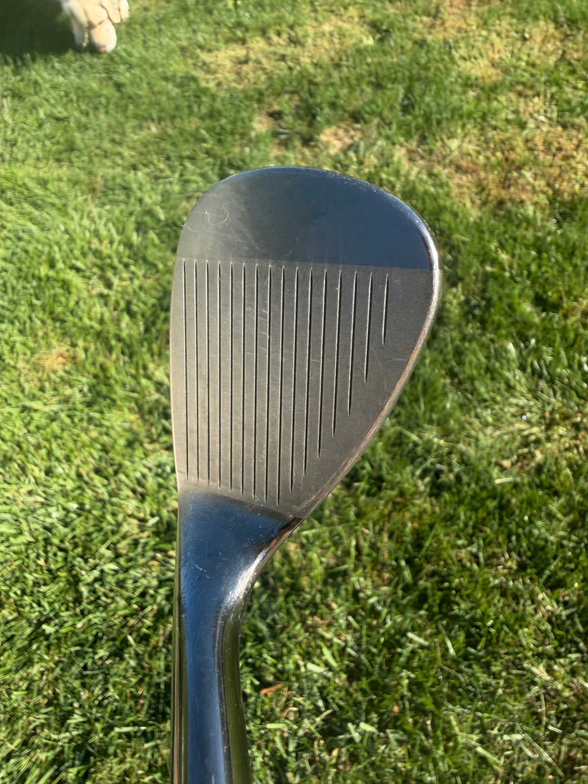 Titleist Vokey SM7 Brushed Steel Gap Wedge 50° / 8 Wedge Flex 35.75" NICE — photo 3