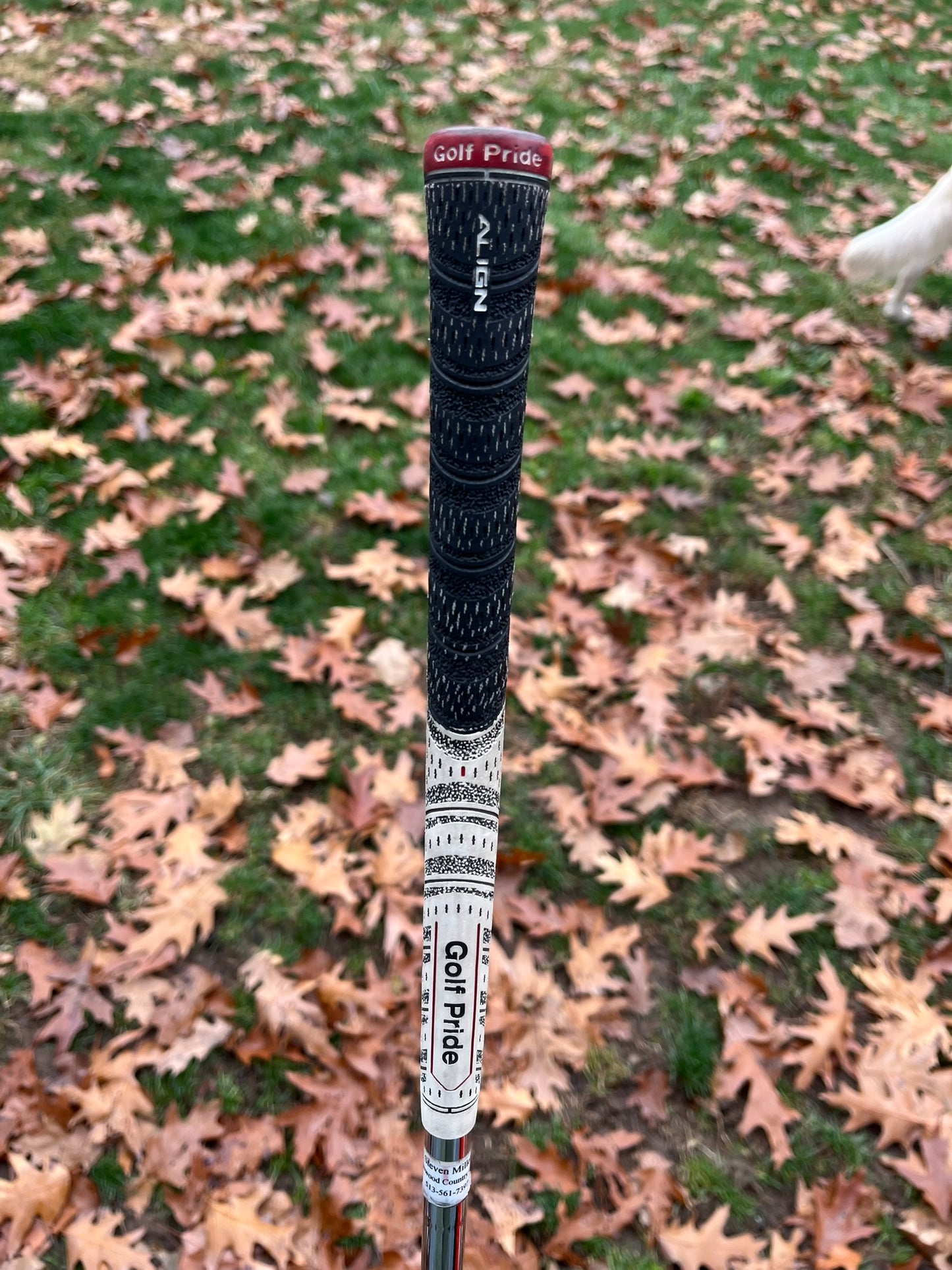 PXG 0311T Sugar Daddy Chrome Gap Wedge 50° / 10 DG 120 Stiff Flex 35.5″ NICE