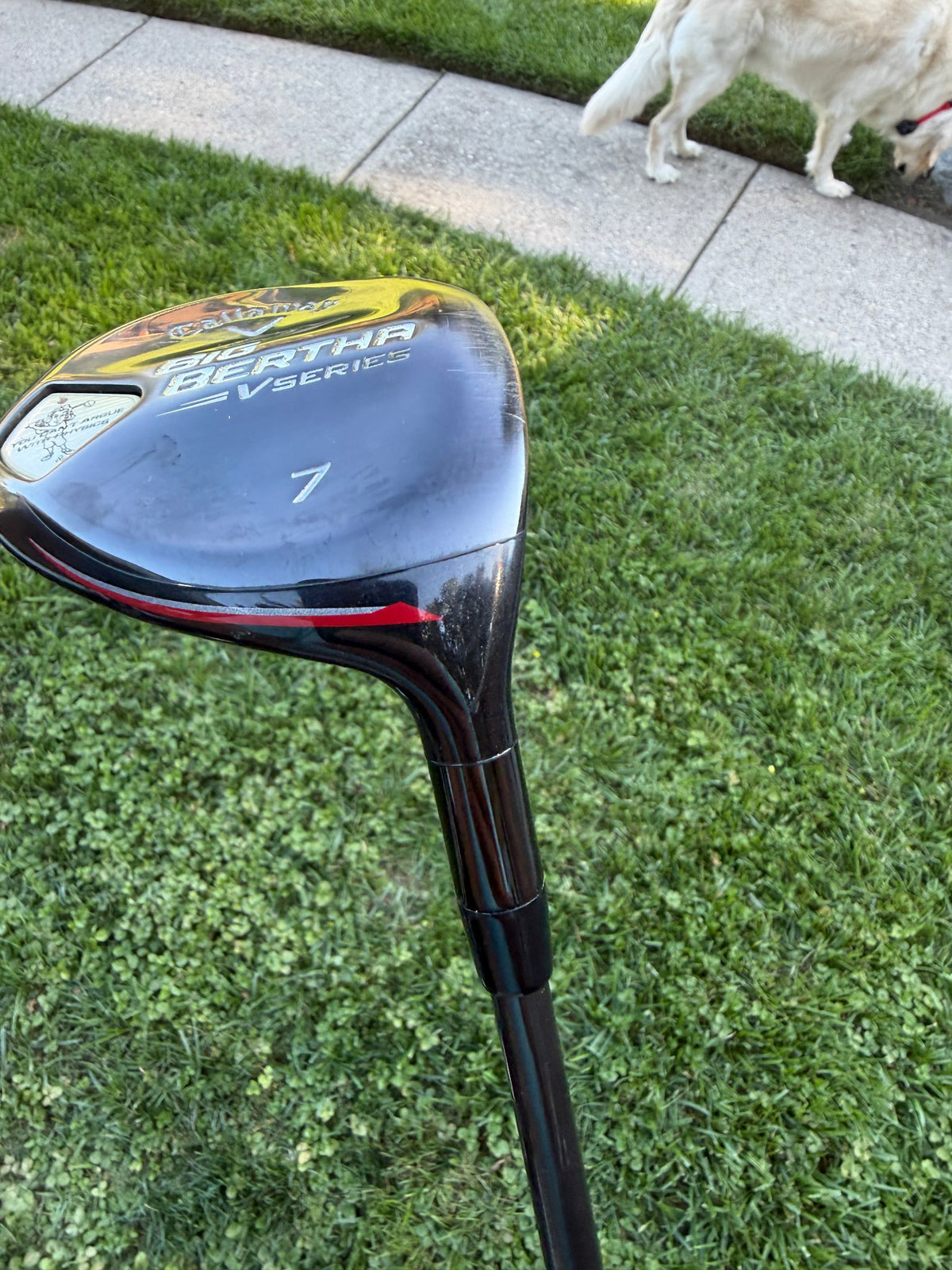 Callaway Big Bertha V Series 7-Wood Bassara Senior Flex 41.75" +HC — photo 6