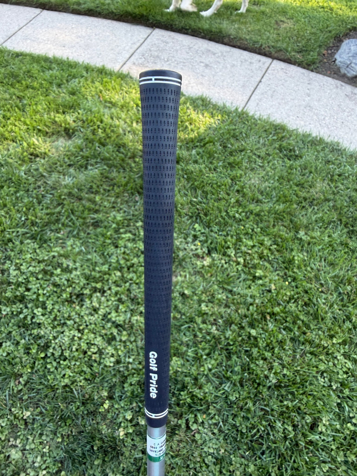 Callaway Big Bertha V Series 7-Wood Bassara Senior Flex 41.75" +HC — photo 9