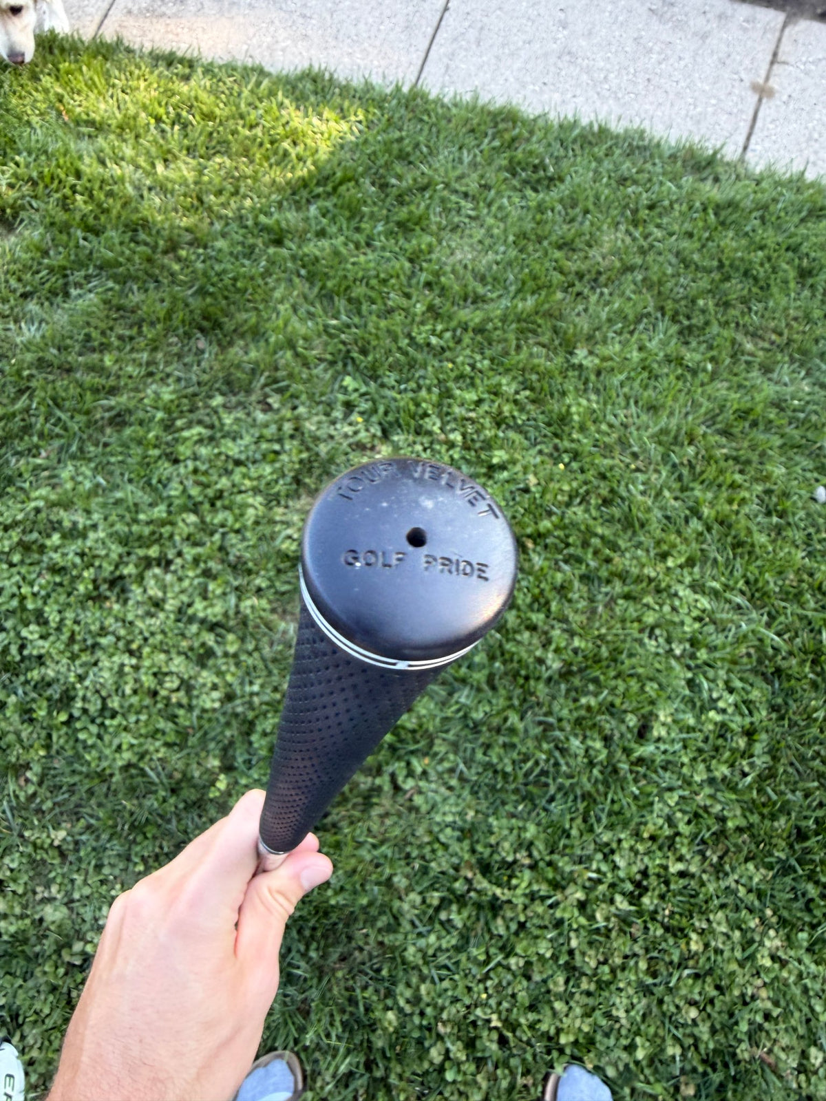 Callaway Big Bertha V Series 7-Wood Bassara Senior Flex 41.75" +HC — photo 10