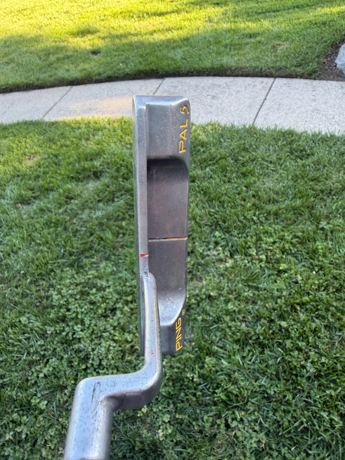 Ping Pal 5 Putter 34" — photo 3