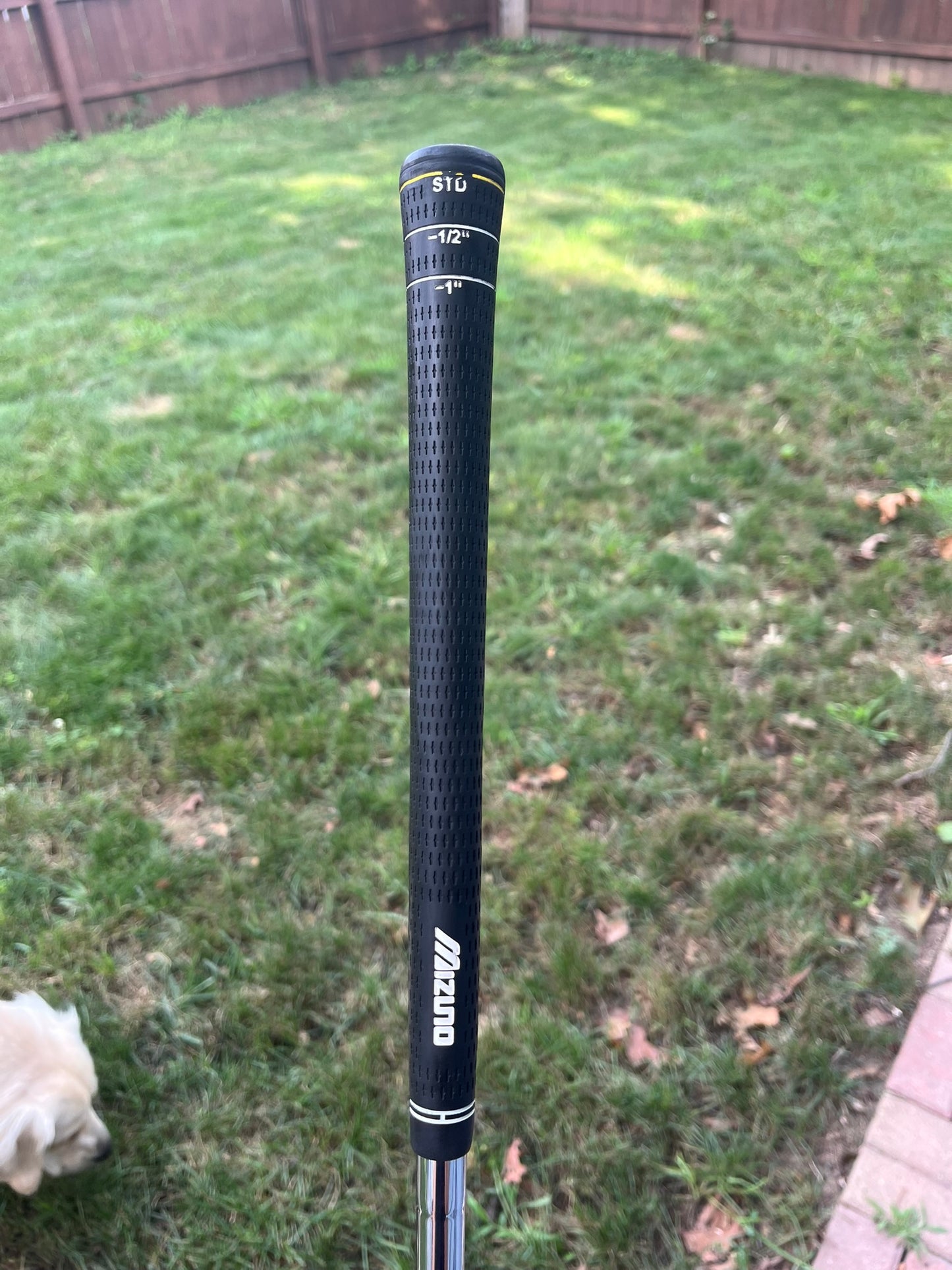 Photo of Mizuno MP 67 6-Iron Stiff Flex Dynamic Gold