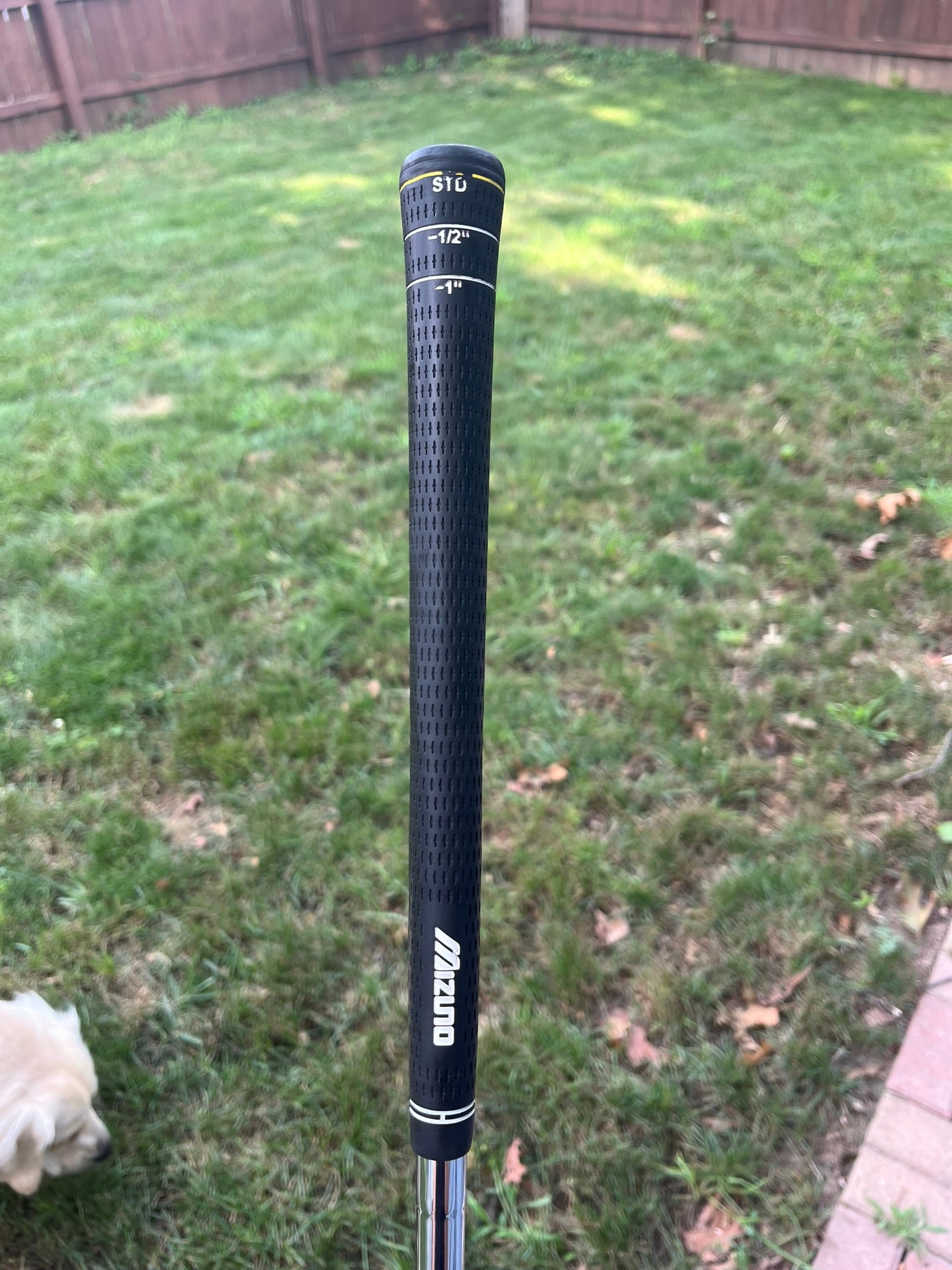 Photo of Mizuno MP 67 6-Iron Stiff Flex Dynamic Gold