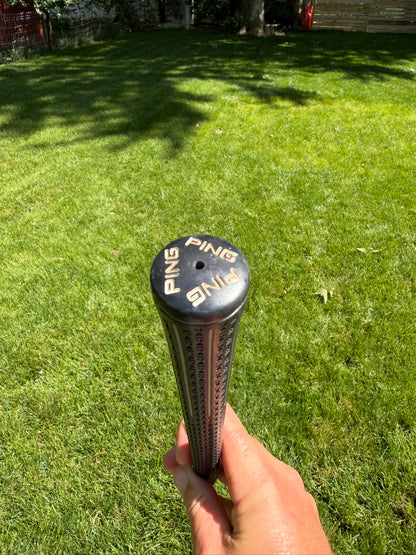 Photo of Ping i20 Gap Wedge Regular Flex Cfs
