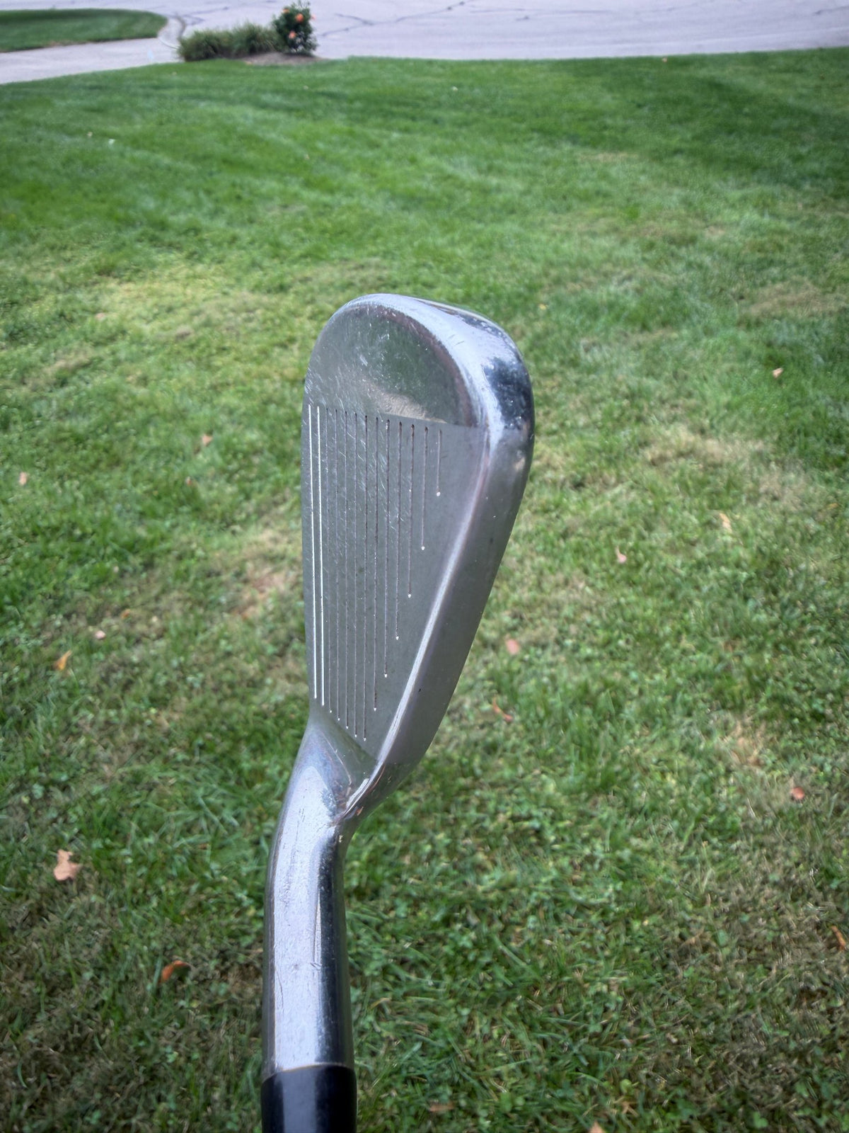 Callaway Rogue ST Max 5-Iron Project X Cypher Fifty 5.0 Senior Flex 38.25" NICE — photo 3
