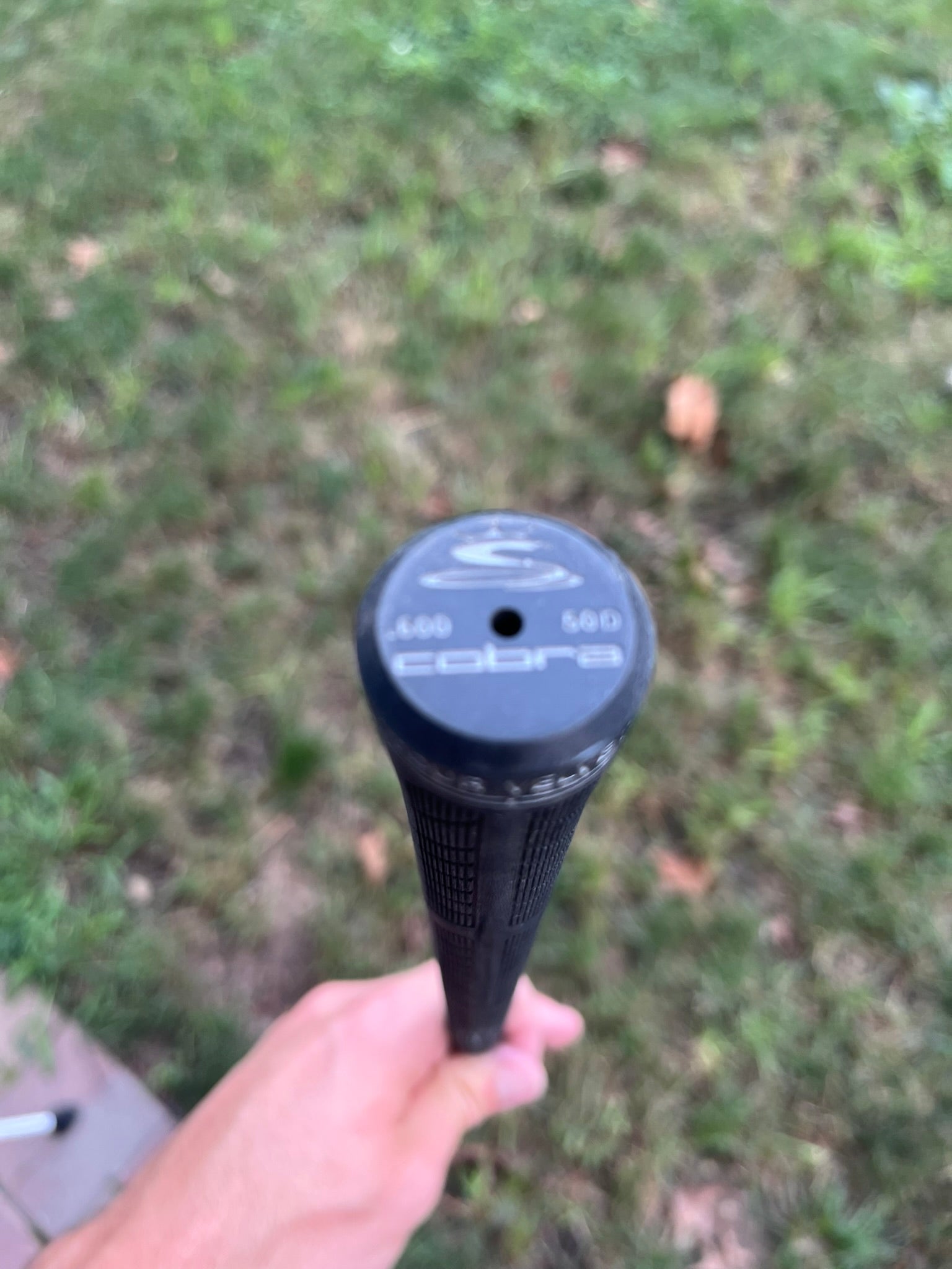 Photo of Cobra FP 6-Iron Regular Flex Alidla Vs 70
