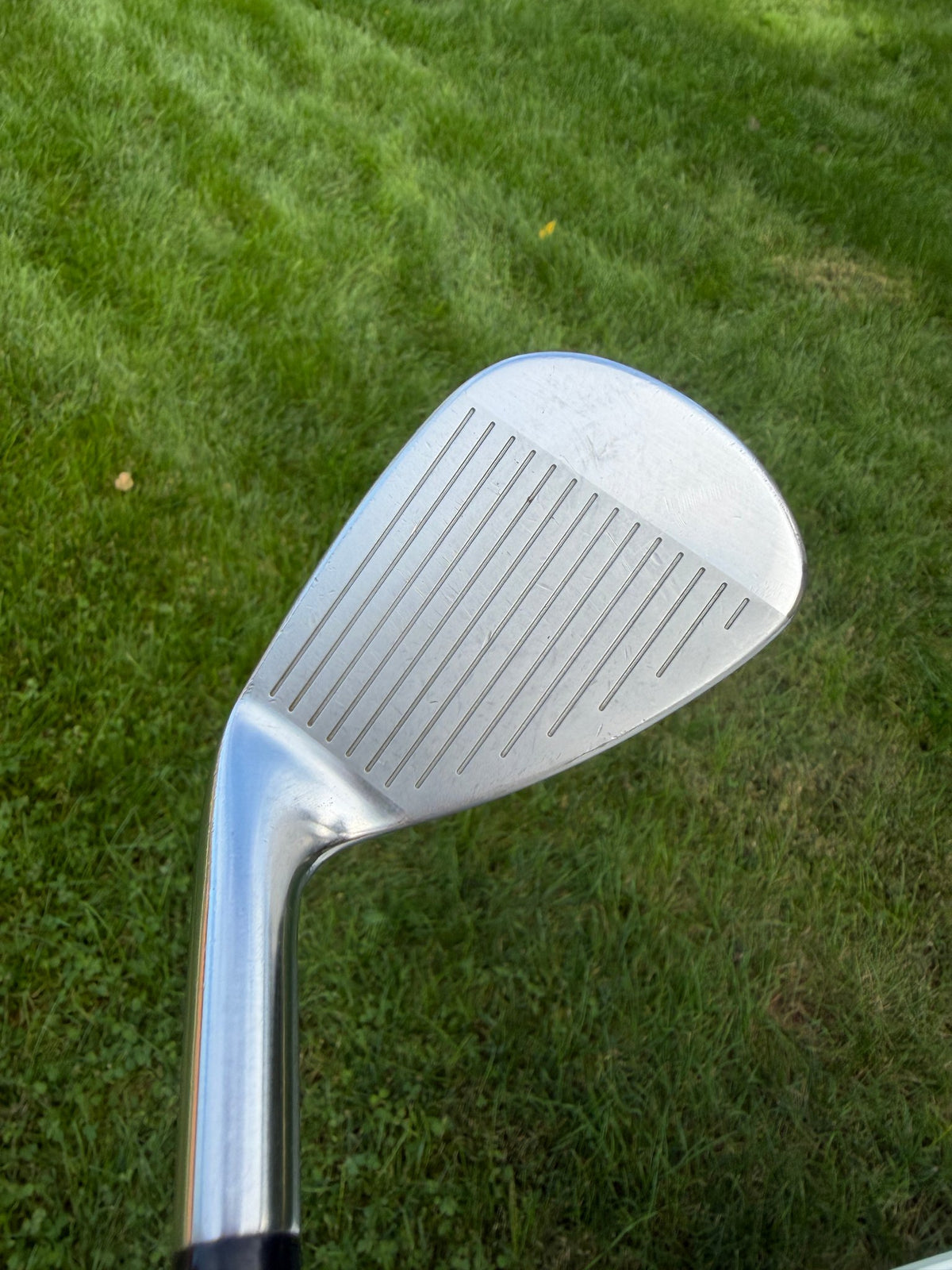 Mizuno Pro 245 Iron Set 5-PW Dynamic Gold Mid 115 Stiff Flex +1 1/4" NICE — photo 4