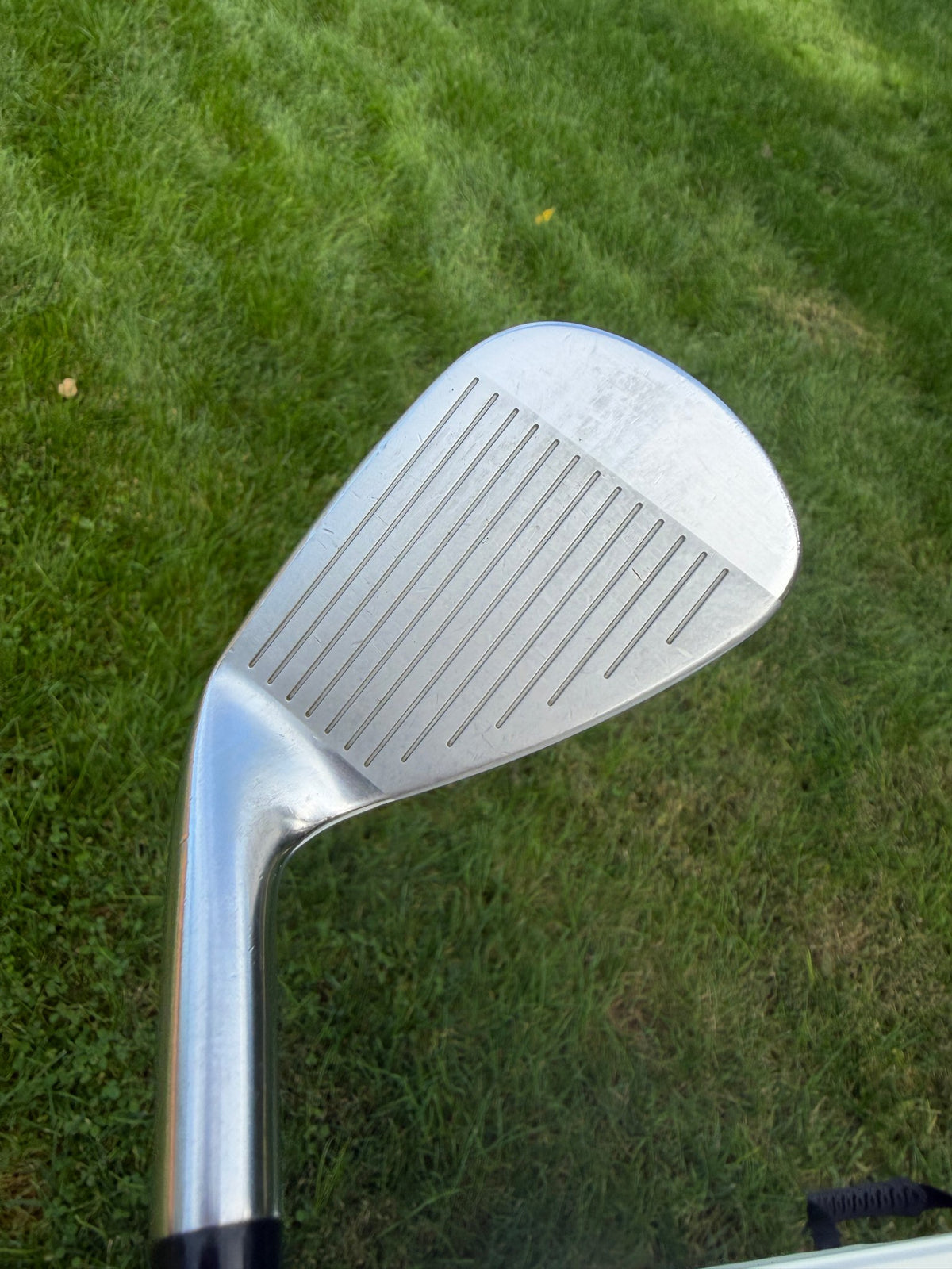 Mizuno Pro 245 Iron Set 5-PW Dynamic Gold Mid 115 Stiff Flex +1 1/4" NICE — photo 5