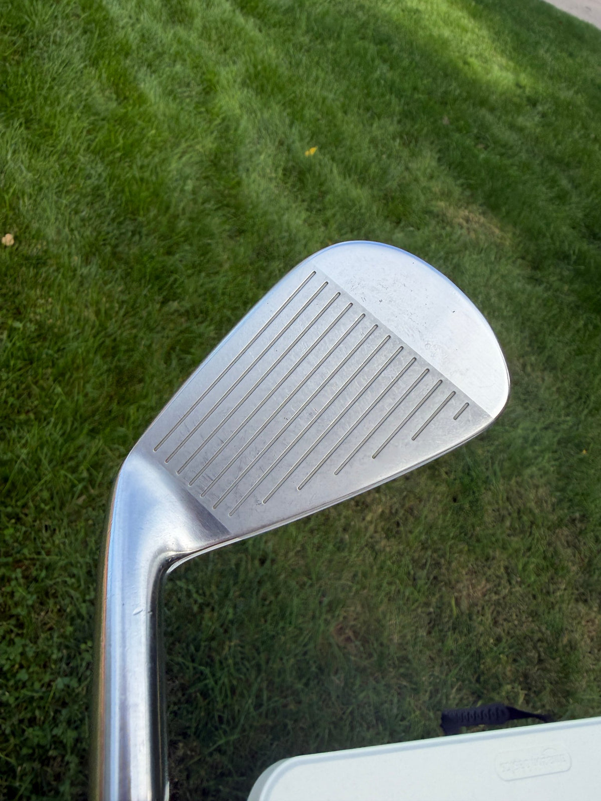 Mizuno Pro 245 Iron Set 5-PW Dynamic Gold Mid 115 Stiff Flex +1 1/4" NICE — photo 7