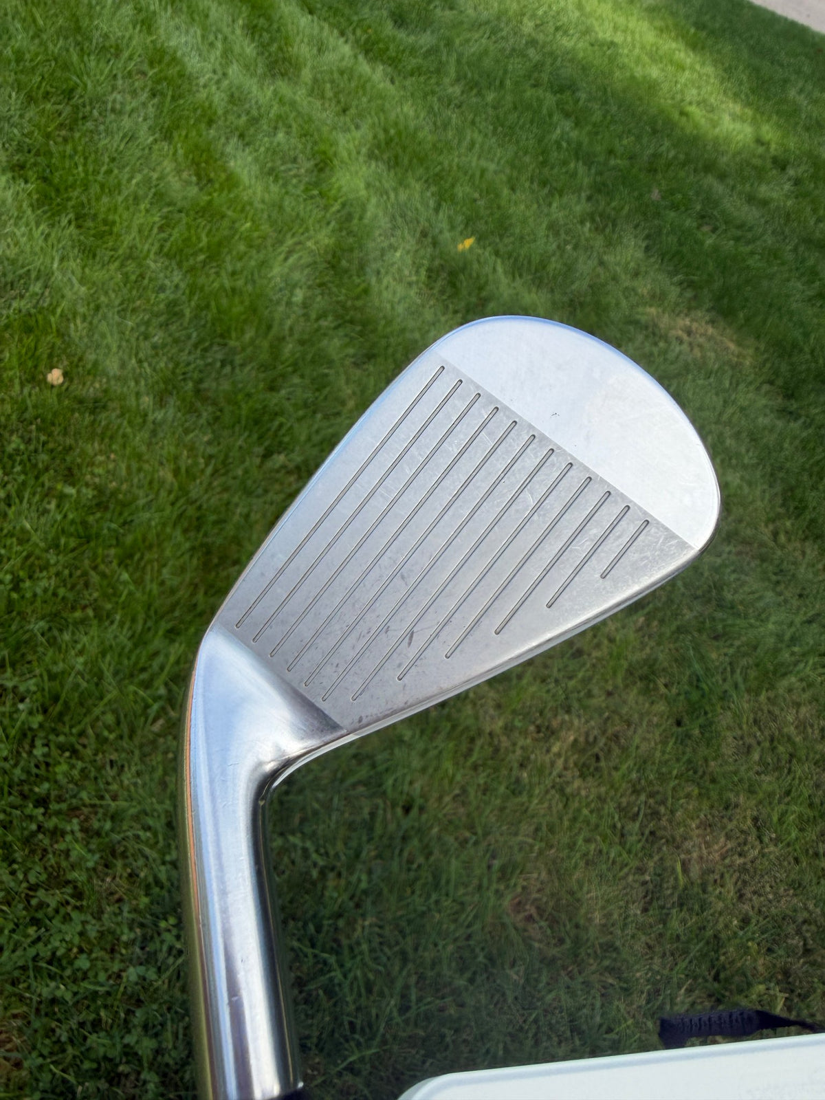 Mizuno Pro 245 Iron Set 5-PW Dynamic Gold Mid 115 Stiff Flex +1 1/4" NICE — photo 8