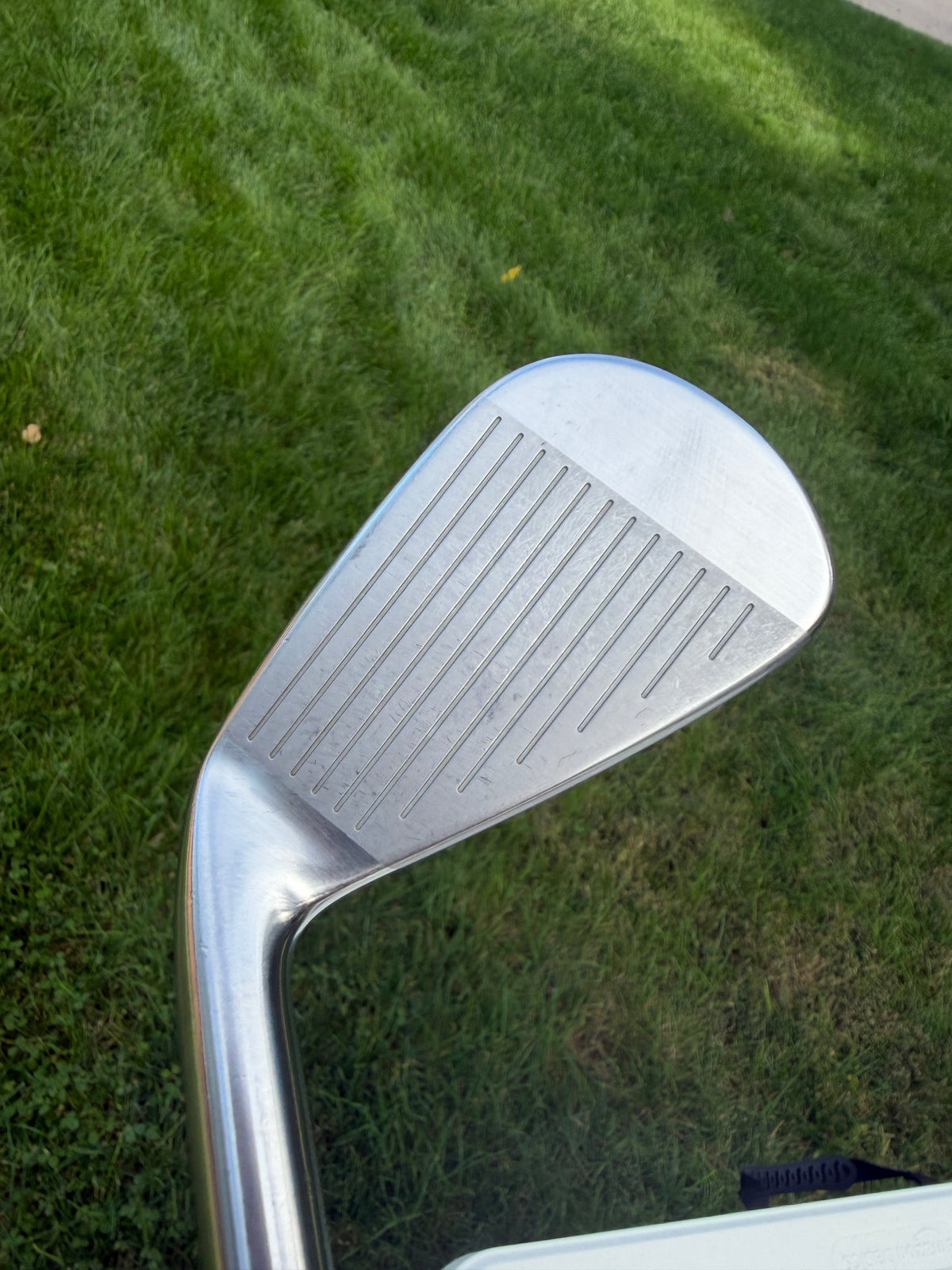 Mizuno Pro 245 Iron Set 5-PW Dynamic Gold Mid 115 Stiff Flex +1 1/4" NICE — photo 9