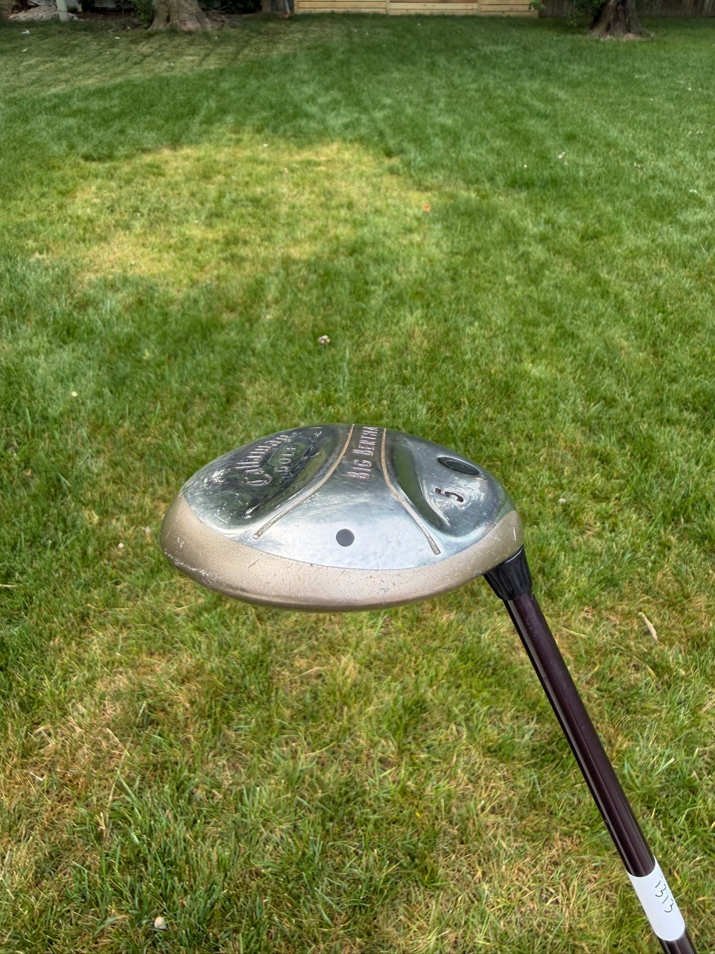 Callaway 2004 Big Bertha 5-Wood Gems 55 Ladies Flex 41.5" READ