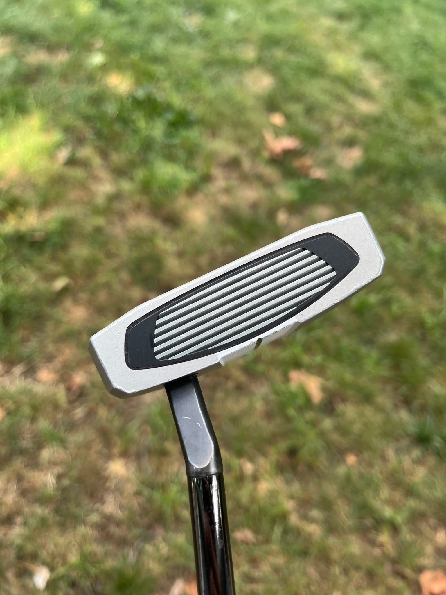 Photo of Taylormade Spider GT Max Putter