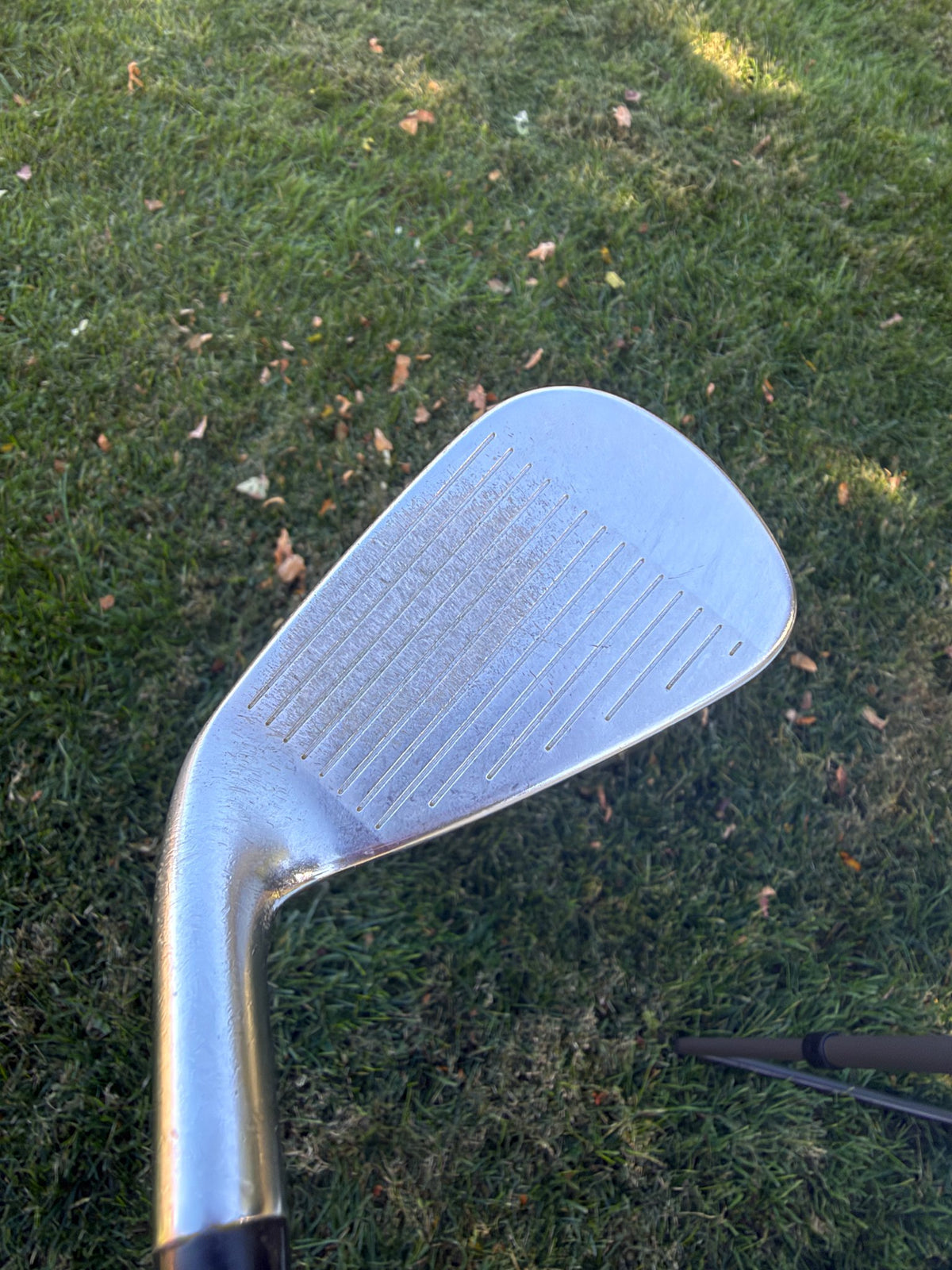 Callaway Apex 21 Iron Set 6-PW LA Golf A Series Mid Regular Flex — photo 7