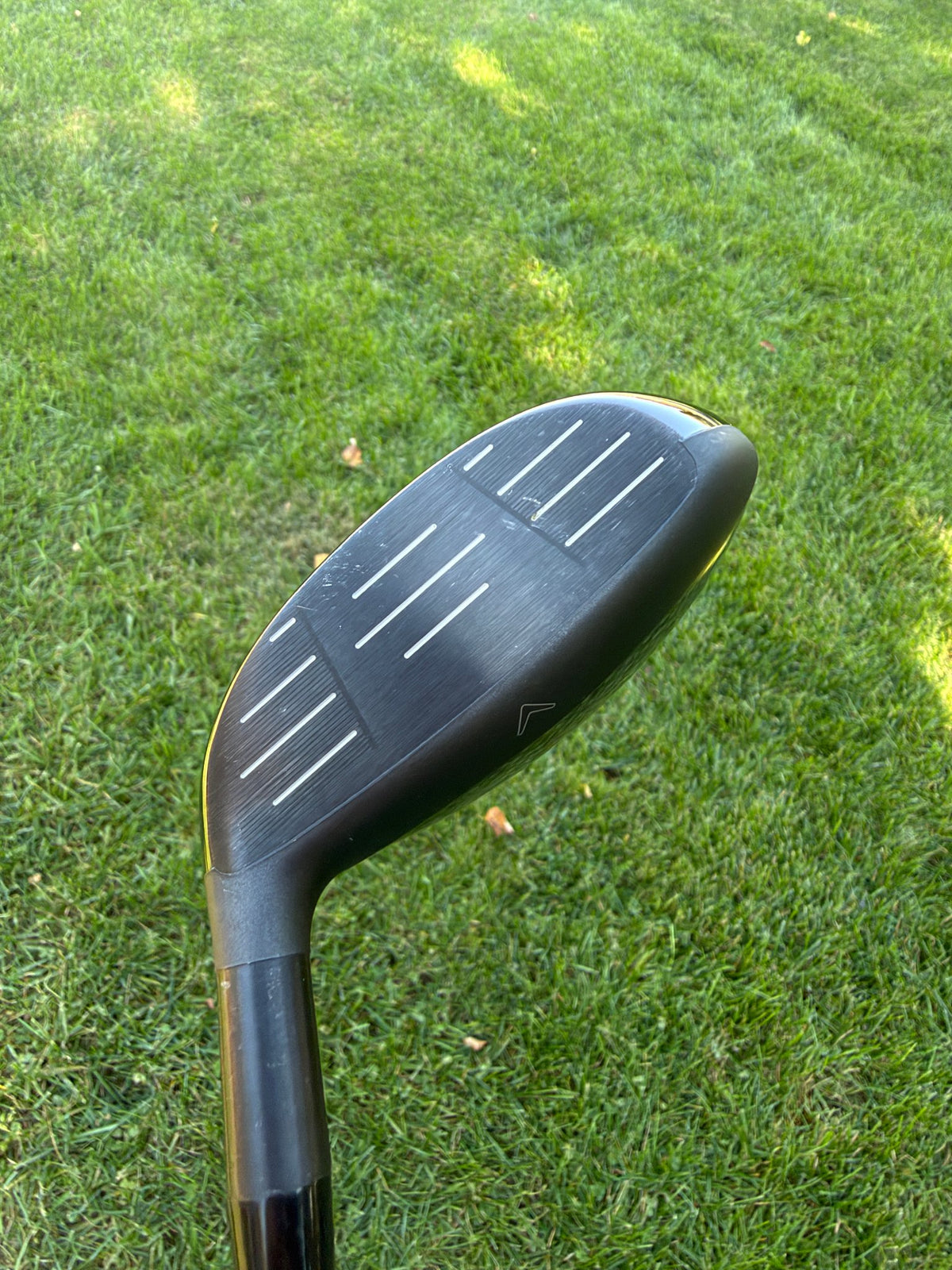 Callaway Quantum Max D 7-Wood 21° Denali Frost Silver Regular Flex 42" +HC NICE — photo 2
