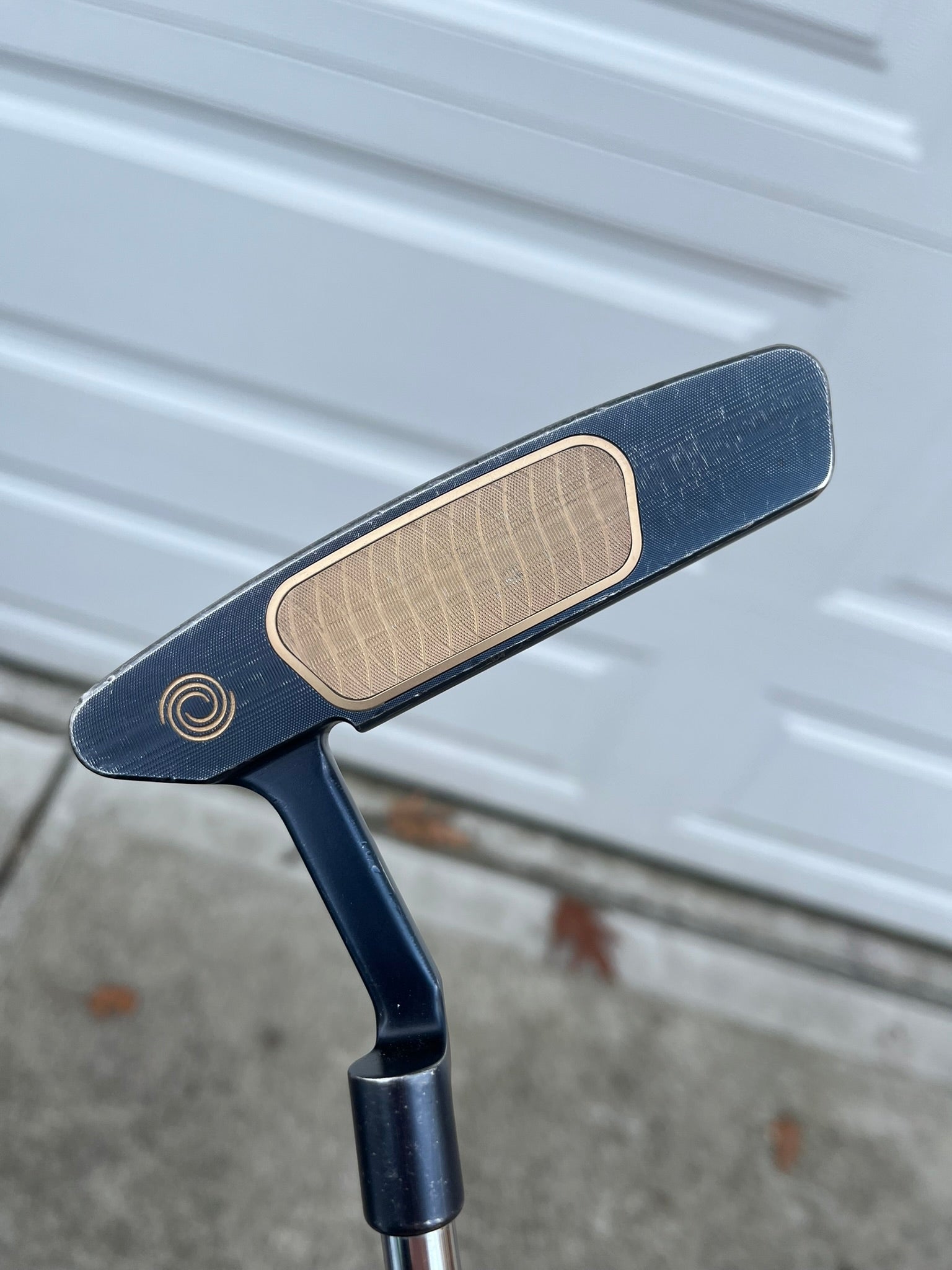 Photo of Odyssey Ai-ONE Milled Two T CH Putter