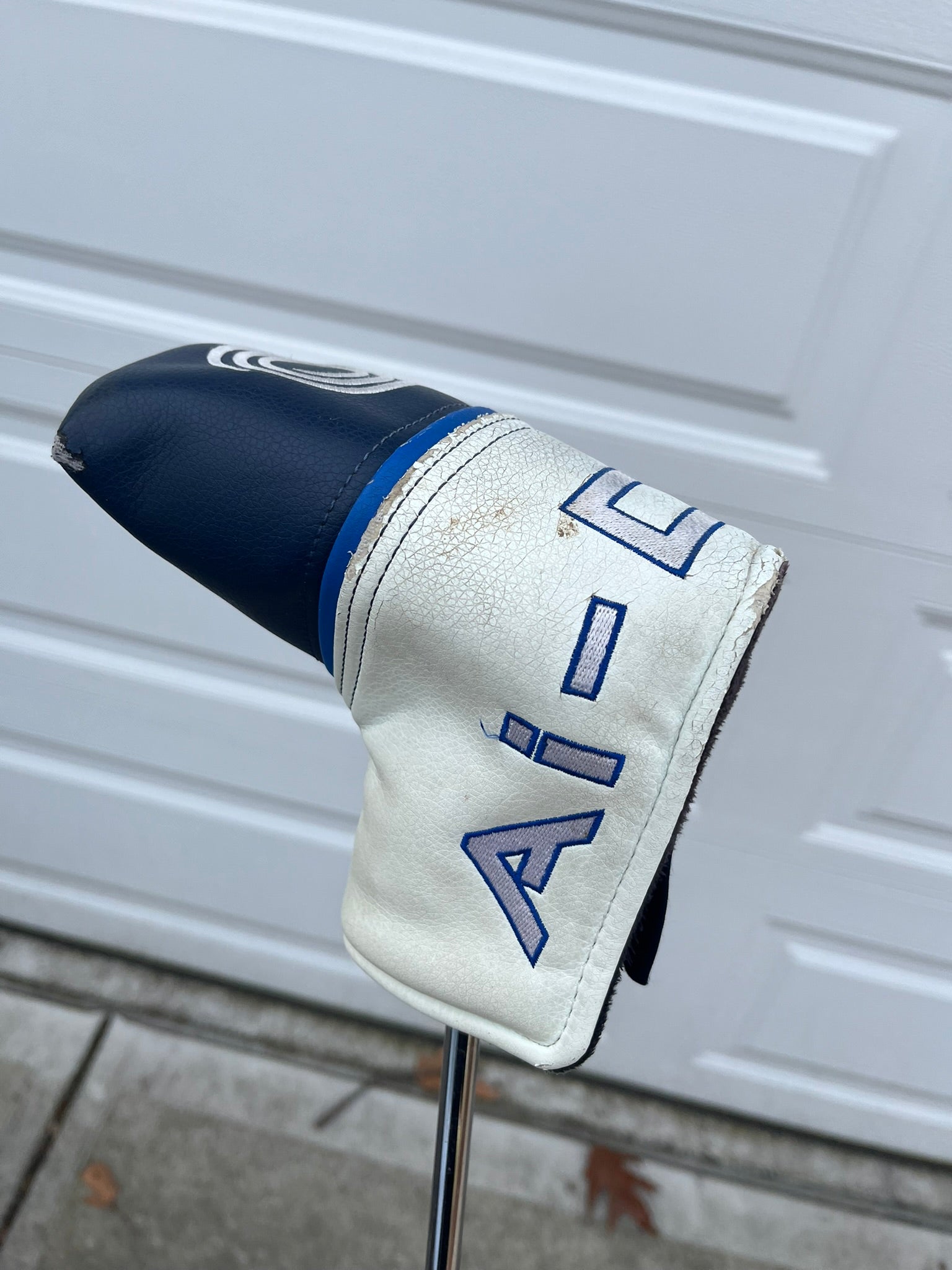 Photo of Odyssey Ai-ONE Milled Two T CH Putter