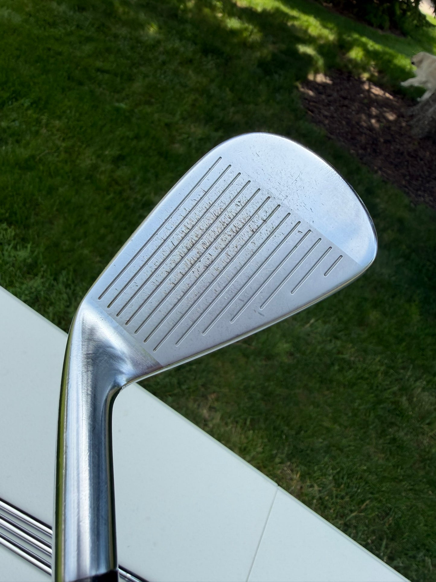Mizuno Pro 223 Iron Set 4-PW Dynamic Gold 105 S300 Stiff Flex +1.25″ NICE