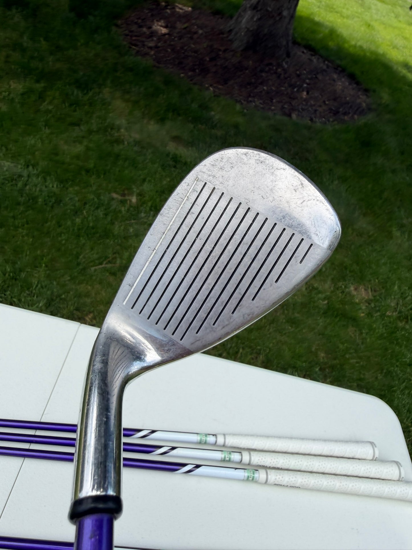Strata Plus Iron Set 6-PW, SW Ladies Flex NICE