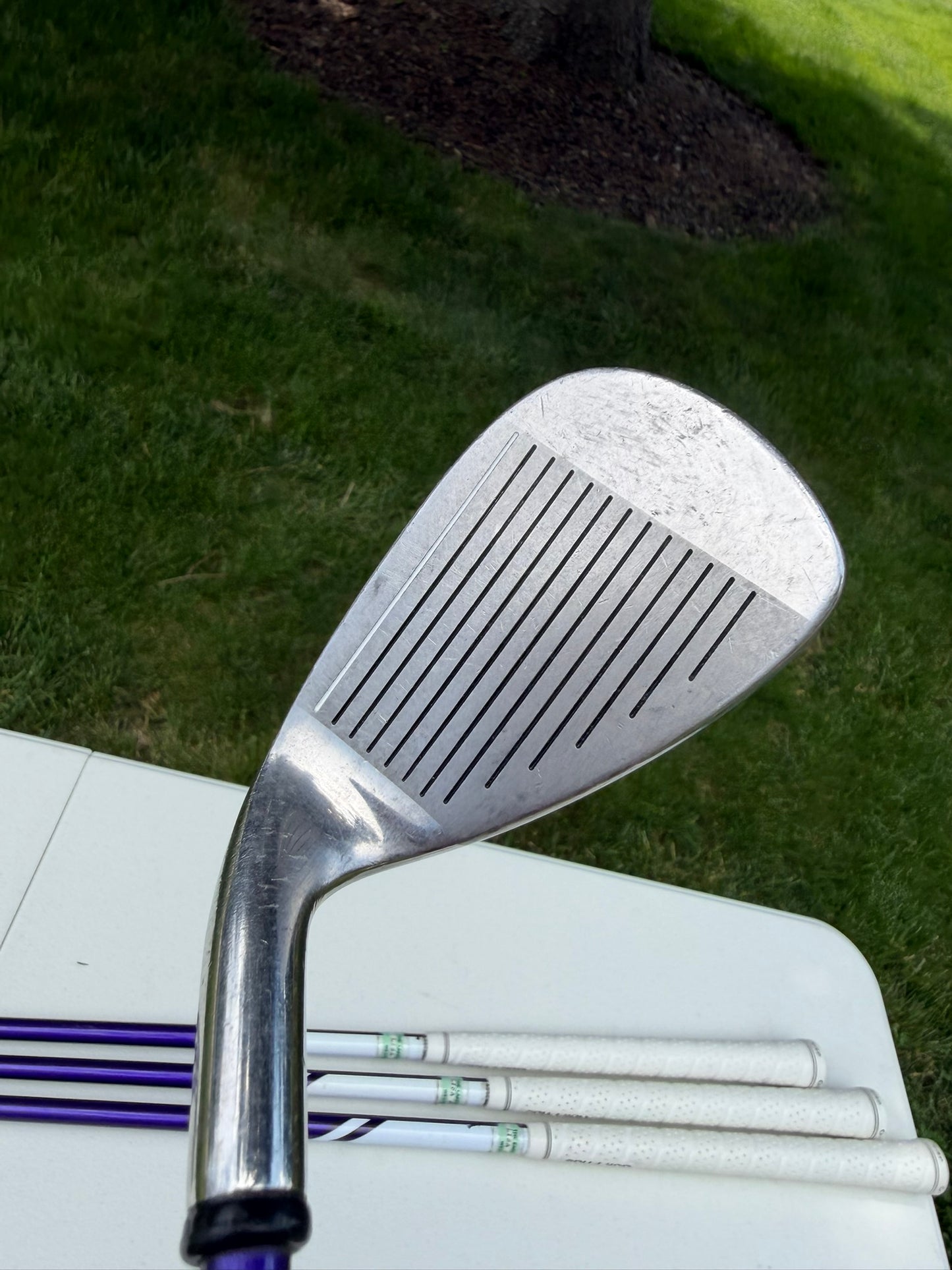 Strata Plus Iron Set 6-PW, SW Ladies Flex NICE