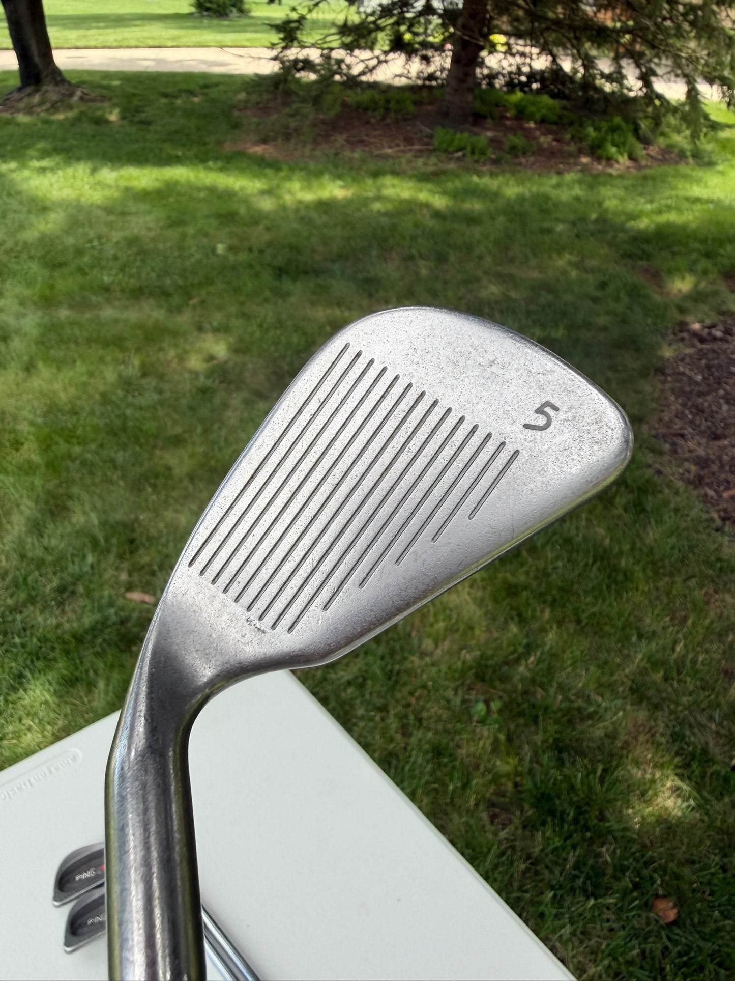 Ping Eye 2 Iron Set 3-PW Orange Dot ZZ Lite Stiff Flex NICE