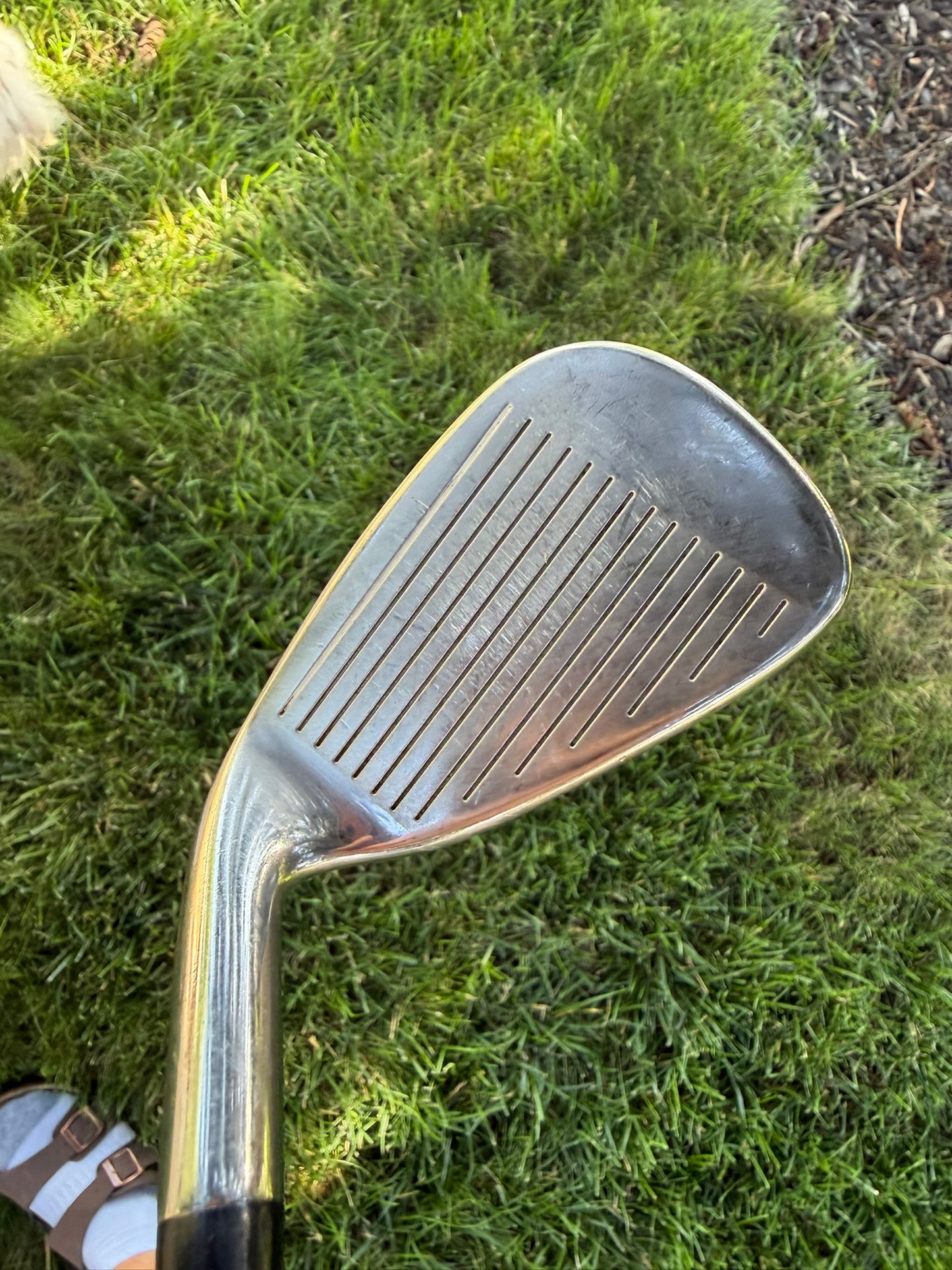 Cleveland CG Gold Iron Set 3-PW Actionlite Stiff Flex Standard NICE