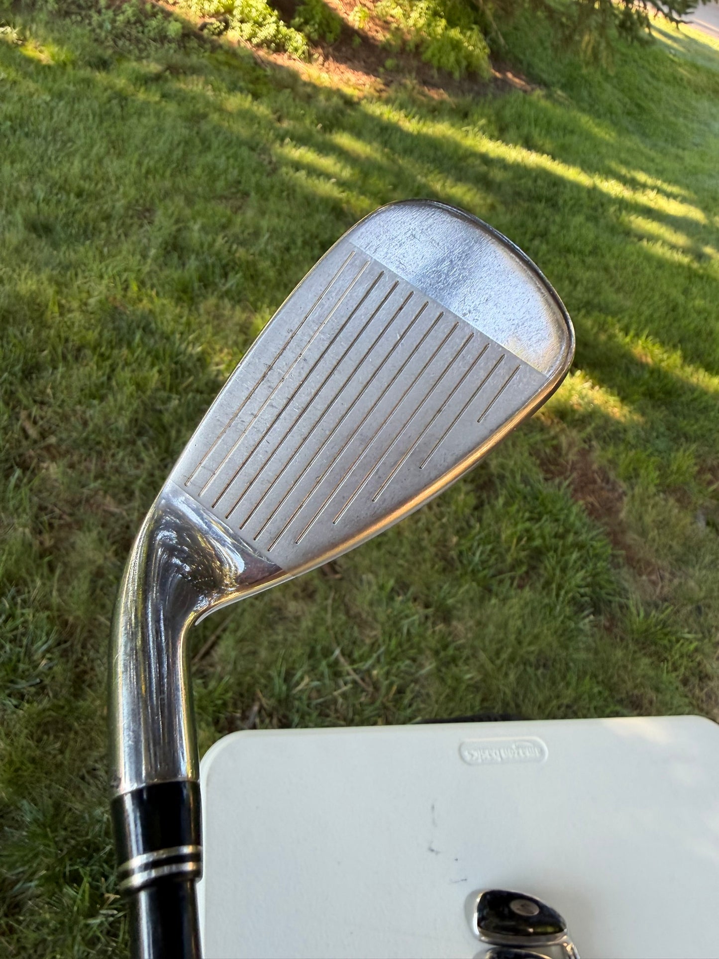 Cobra Transition S Iron Set 6-PW Alidla VS Proto HL65 Regular Flex +1/4" NICE