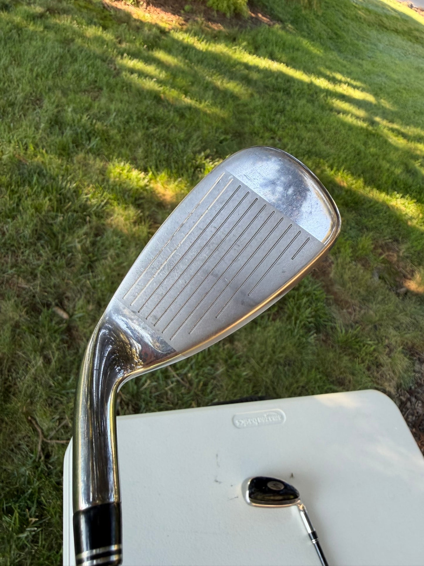Cobra Transition S Iron Set 6-PW Alidla VS Proto HL65 Regular Flex +1/4" NICE