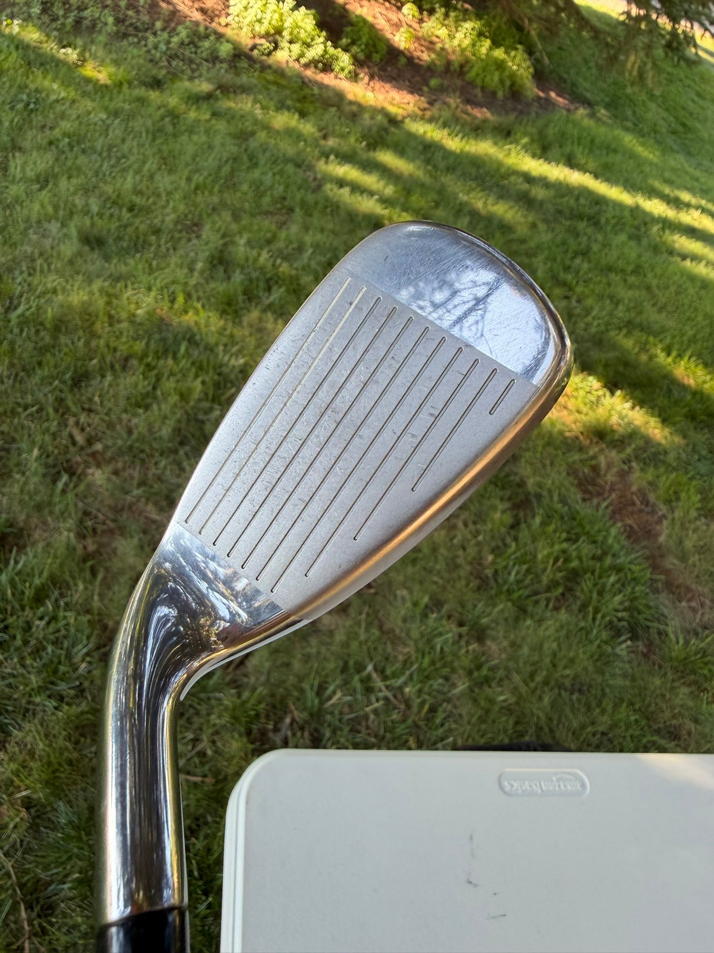 Cobra Transition S Iron Set 6-PW Alidla VS Proto HL65 Regular Flex +1/4" NICE
