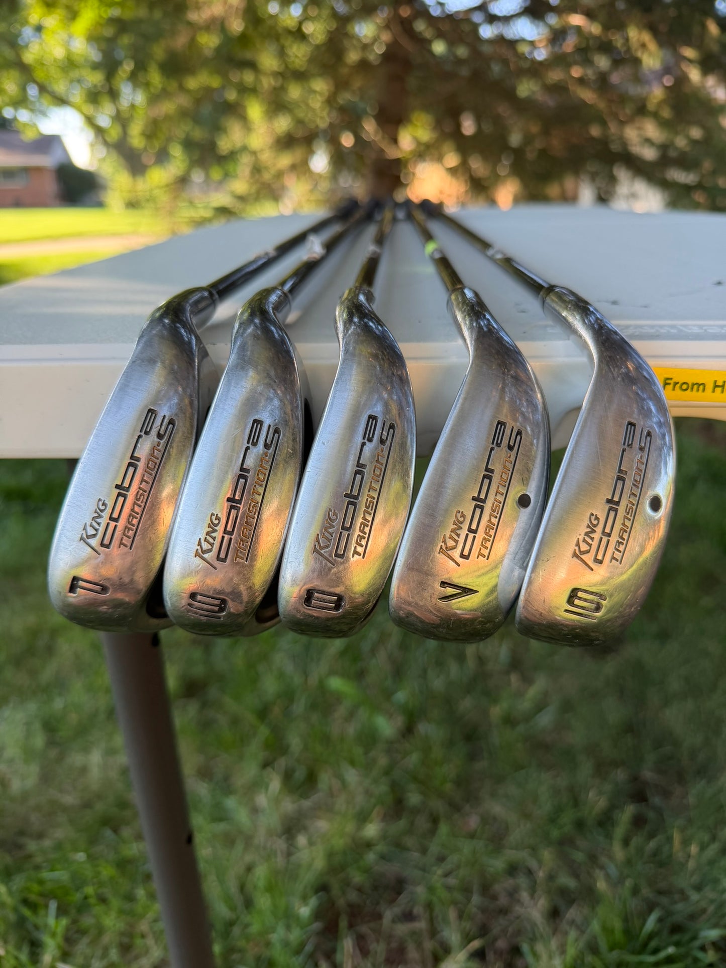 Cobra Transition S Iron Set 6-PW Alidla VS Proto HL65 Regular Flex +1/4" NICE