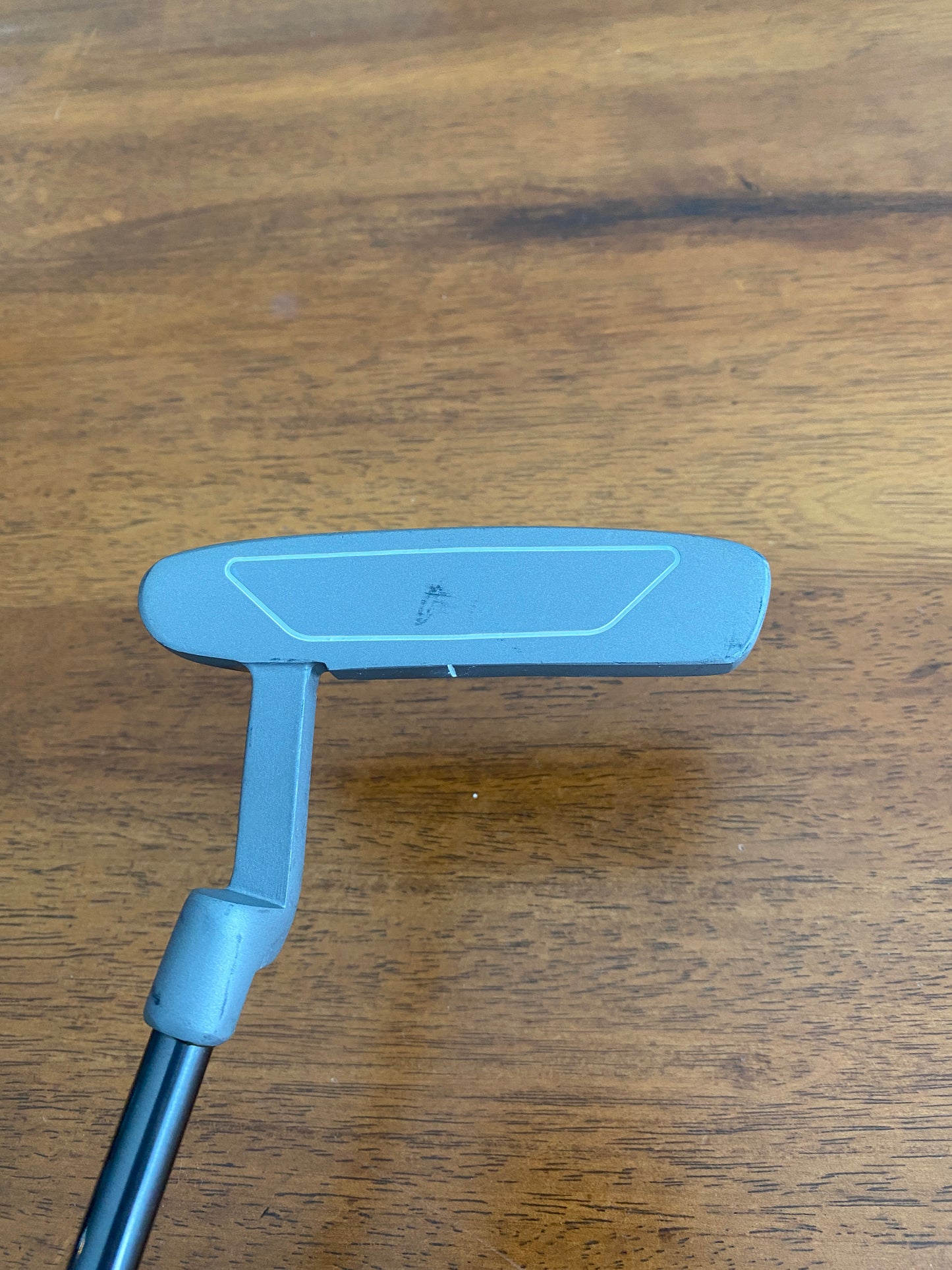 Photo of Wilson Staff Putter