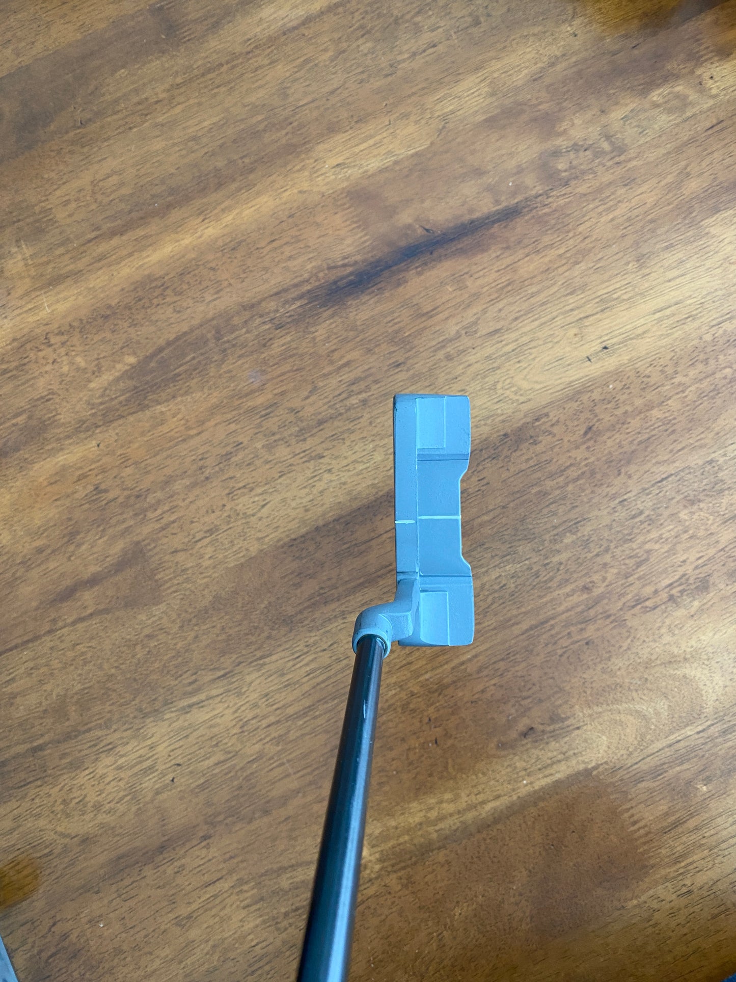 Photo of Wilson Staff Putter