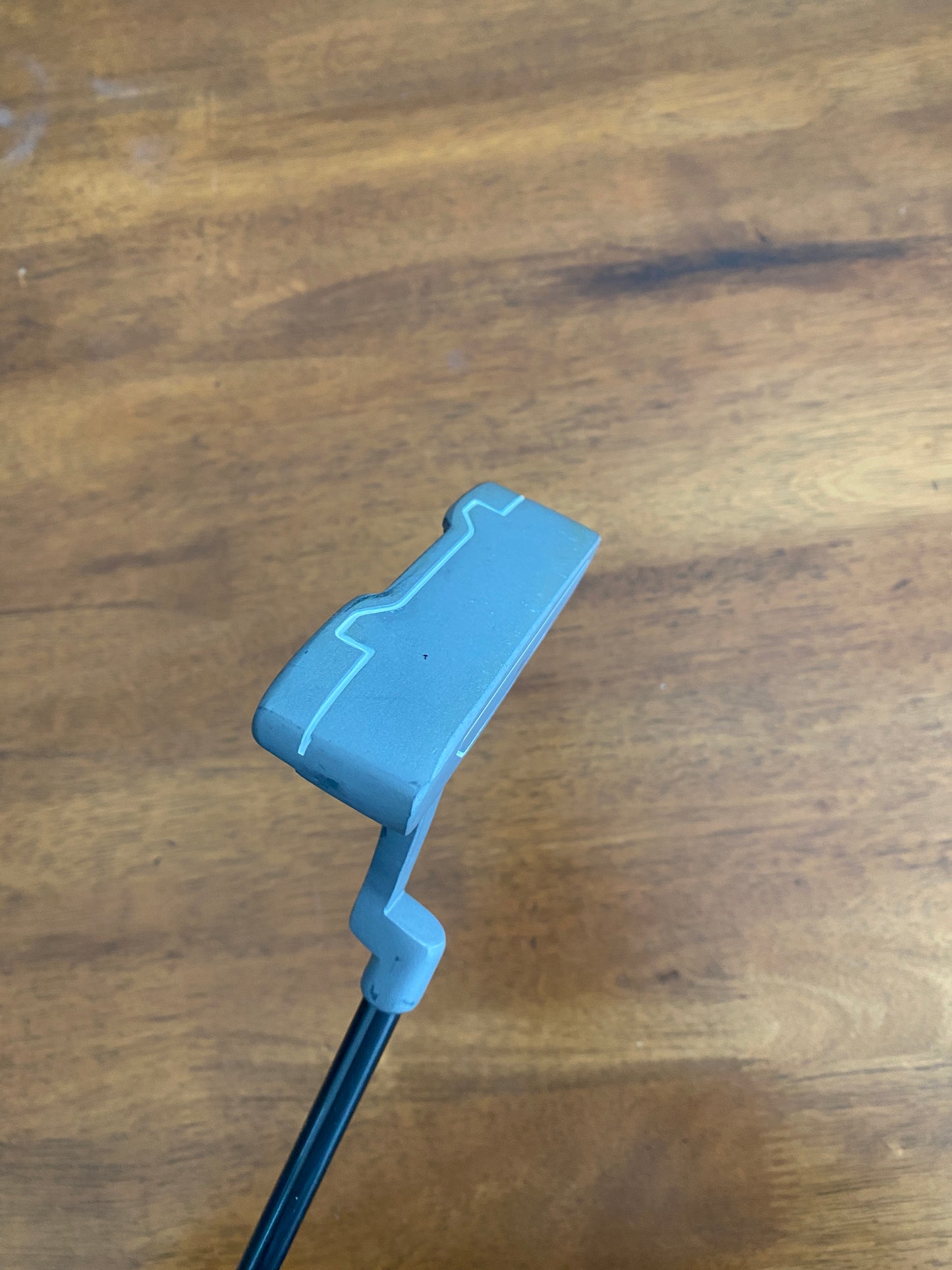 Photo of Wilson Staff Putter