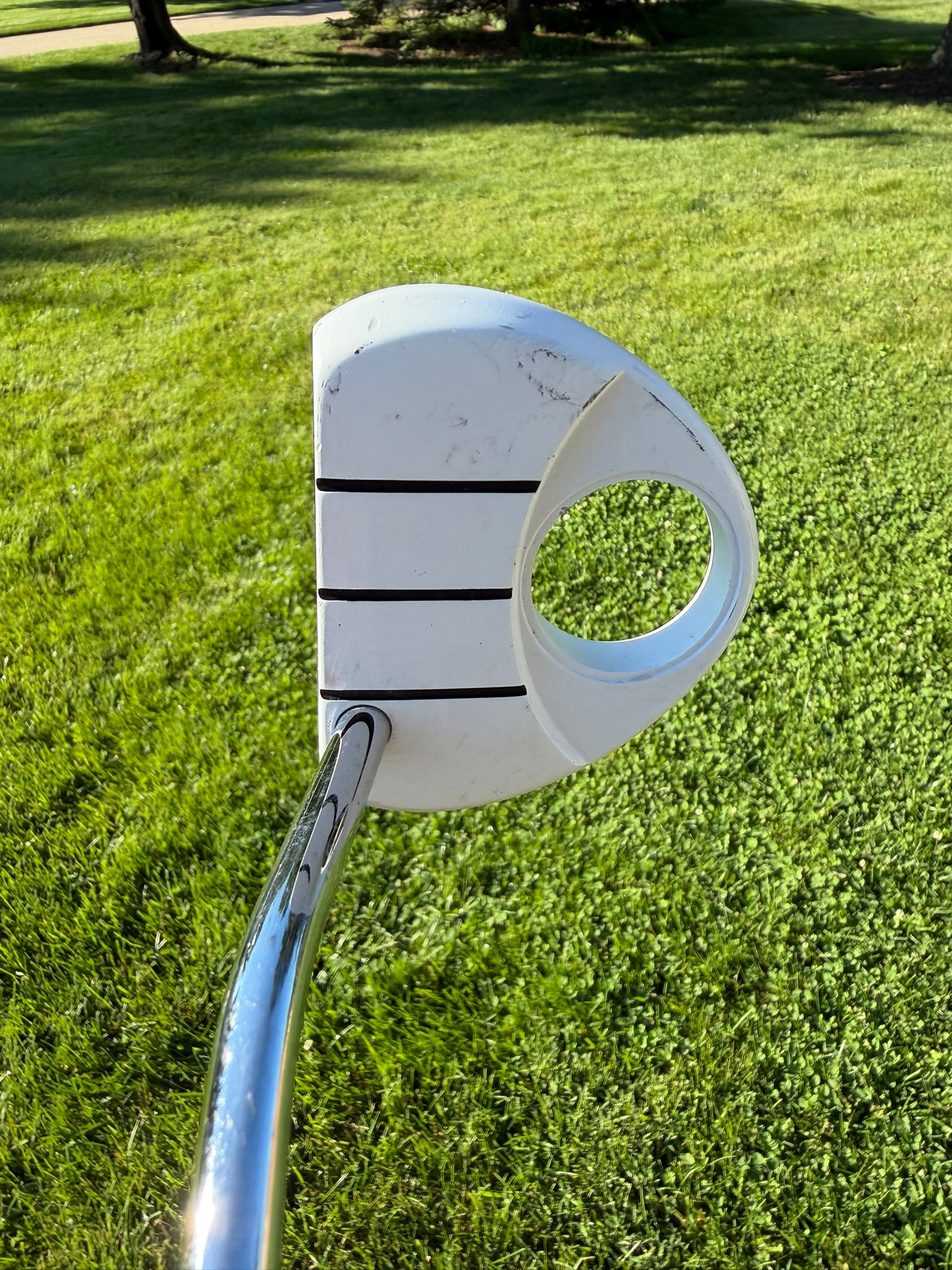 Taylormade Corza Ghost Mid Length Belly Putter 41"