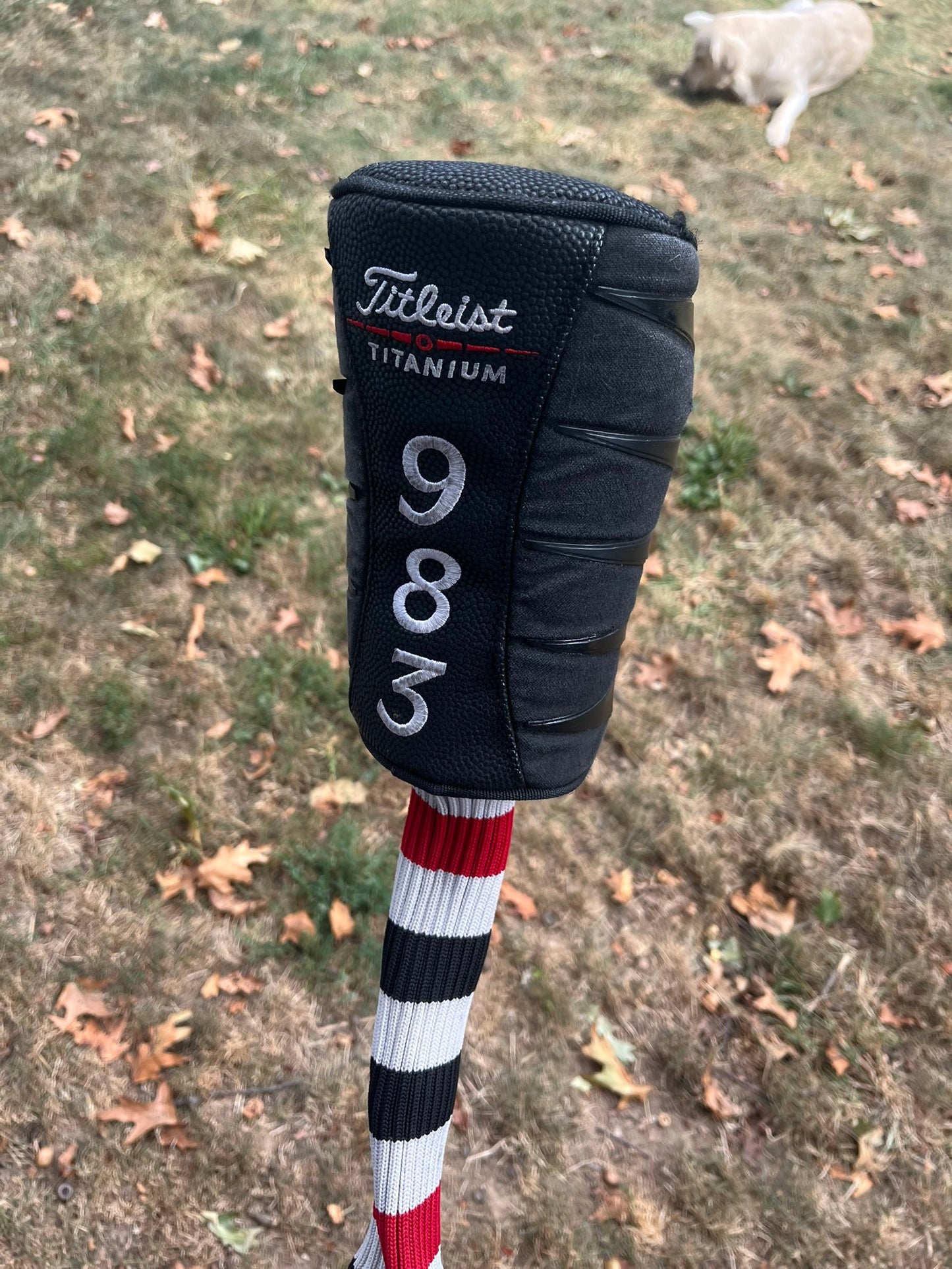Titleist 983K Driver 9.5° Speeder Stiff Flex 44.75″ +HC NICE